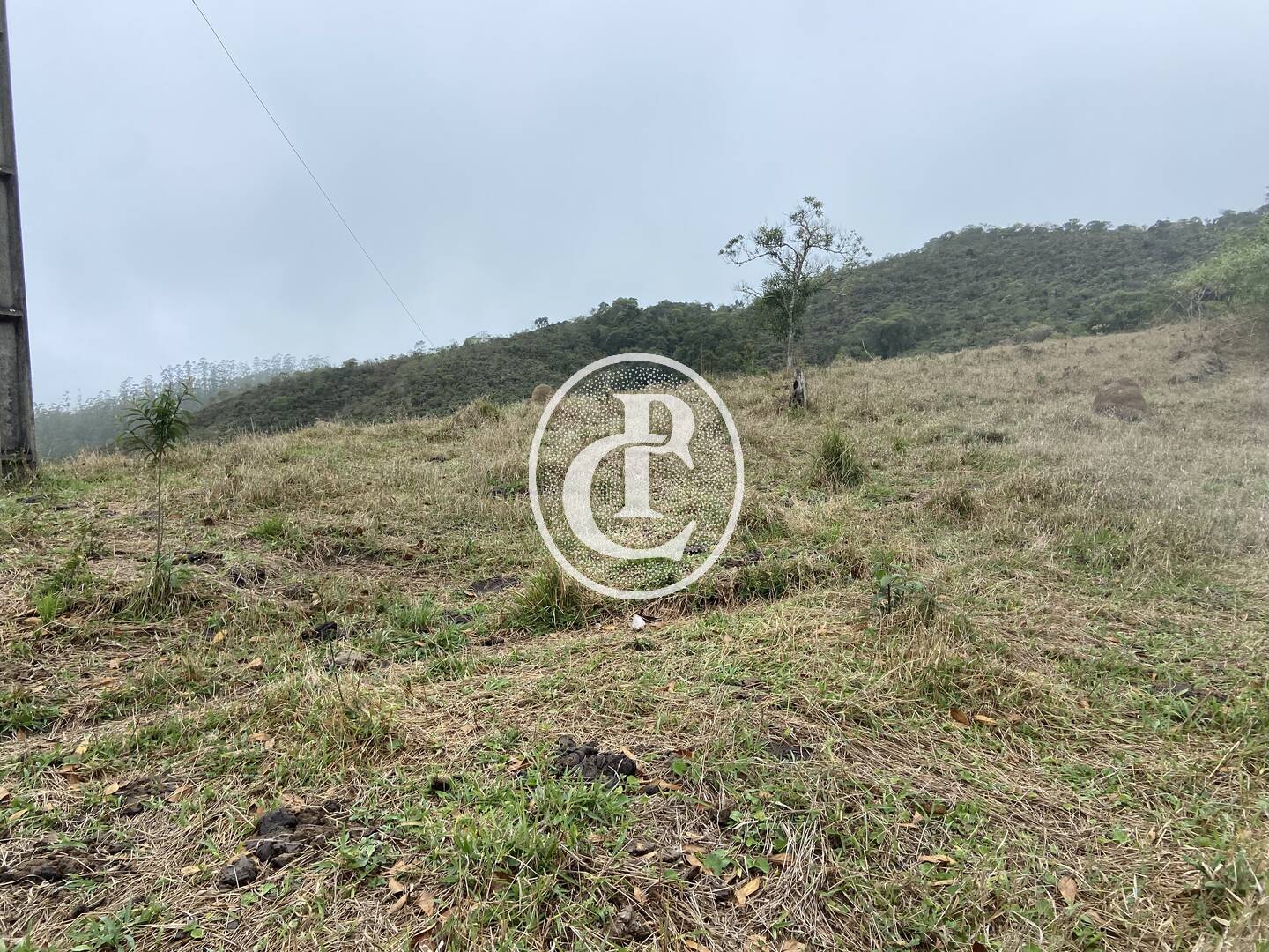 Sítio, 3 quartos, 36 hectares - Foto 34
