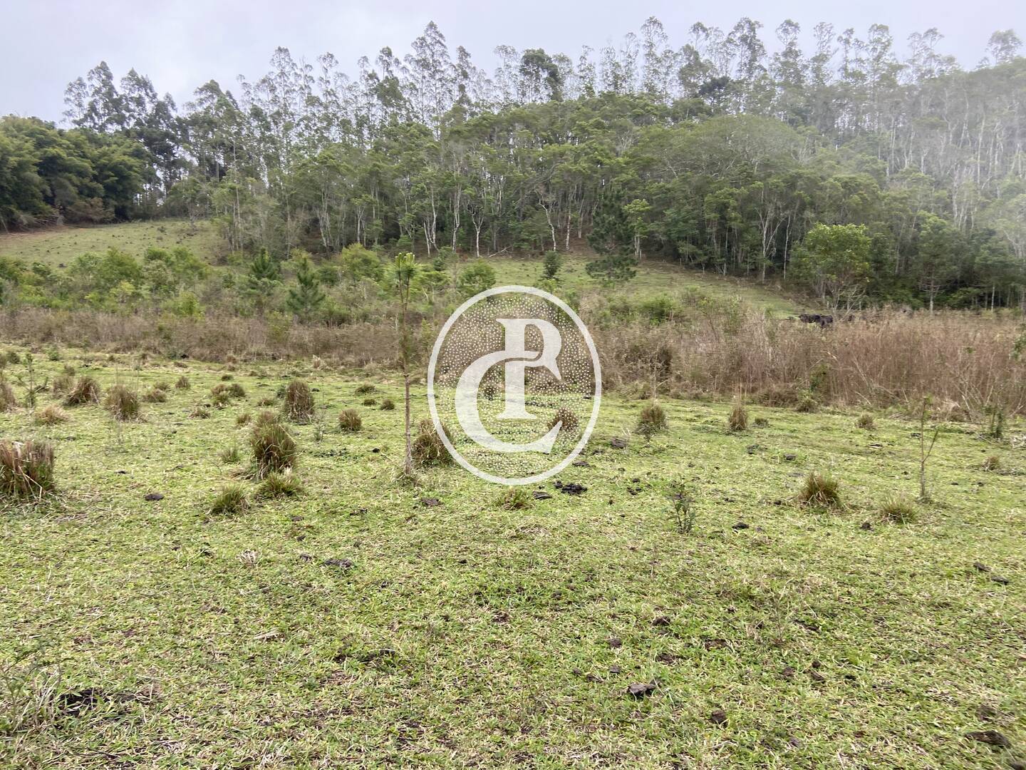 Sítio, 3 quartos, 36 hectares - Foto 37