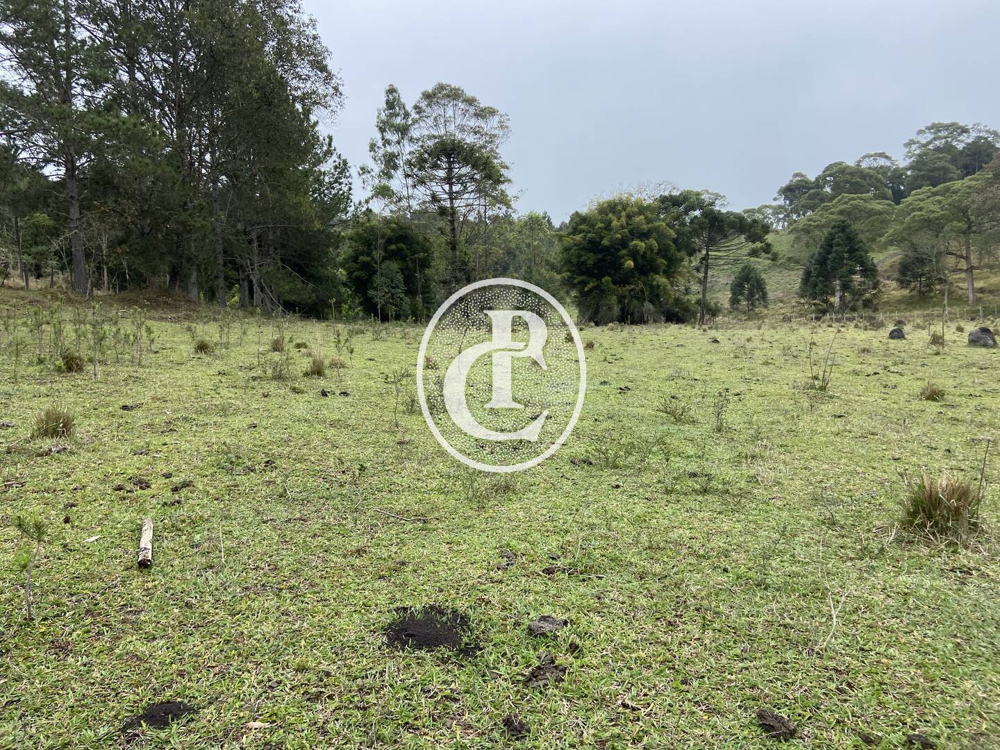 Sítio, 3 quartos, 36 hectares - Foto 38
