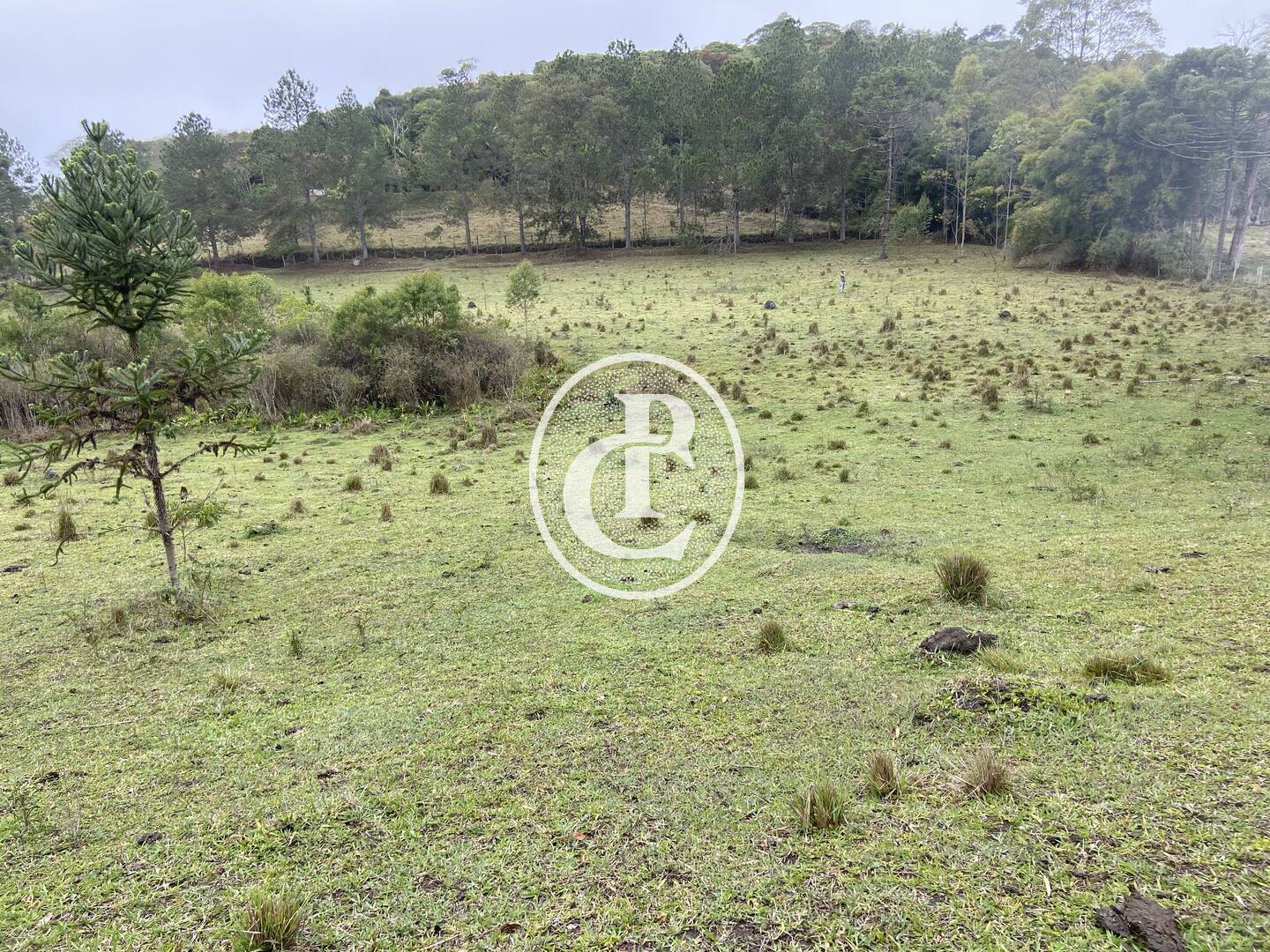 Sítio, 3 quartos, 36 hectares - Foto 39