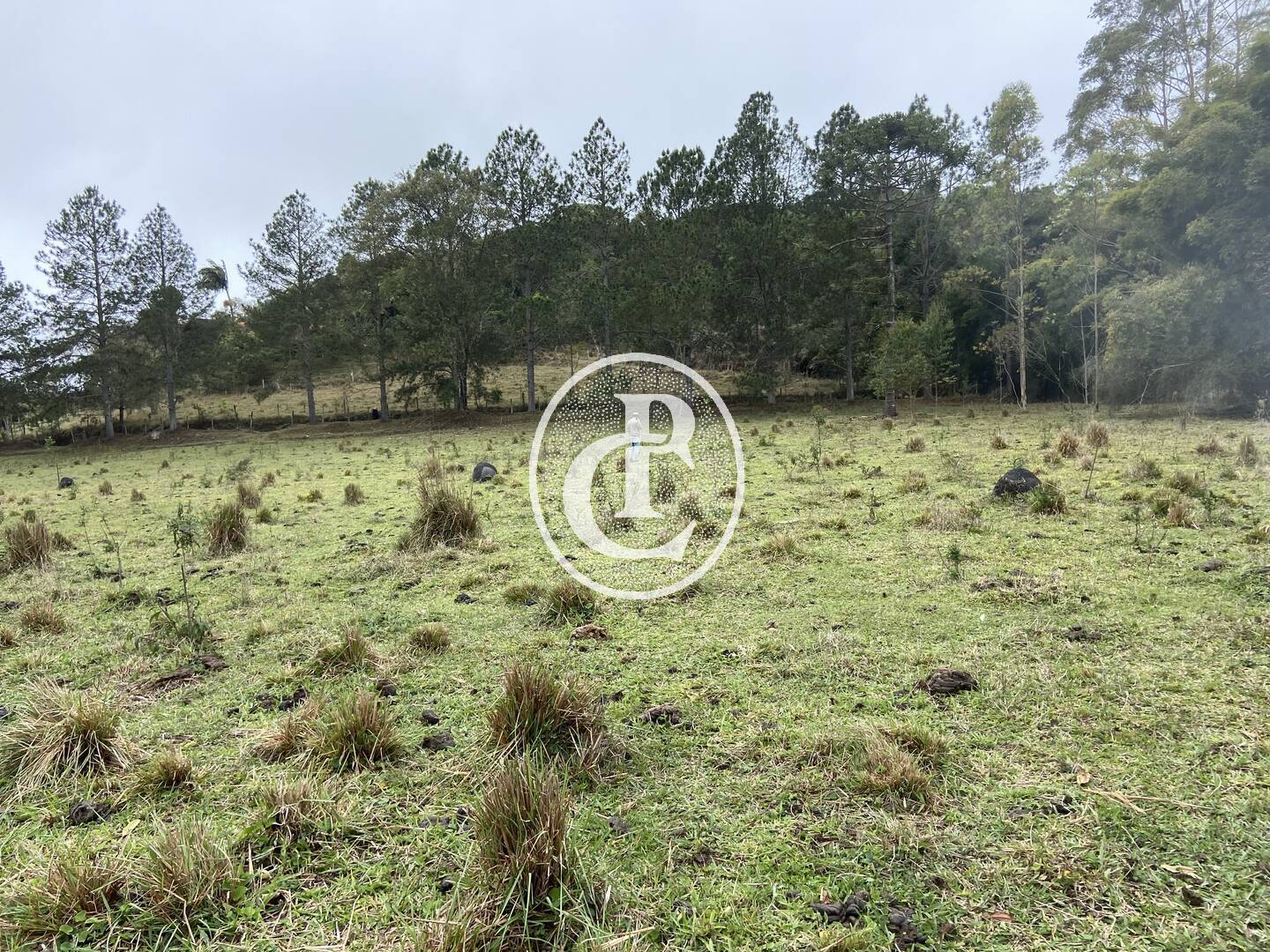 Sítio, 3 quartos, 36 hectares - Foto 41