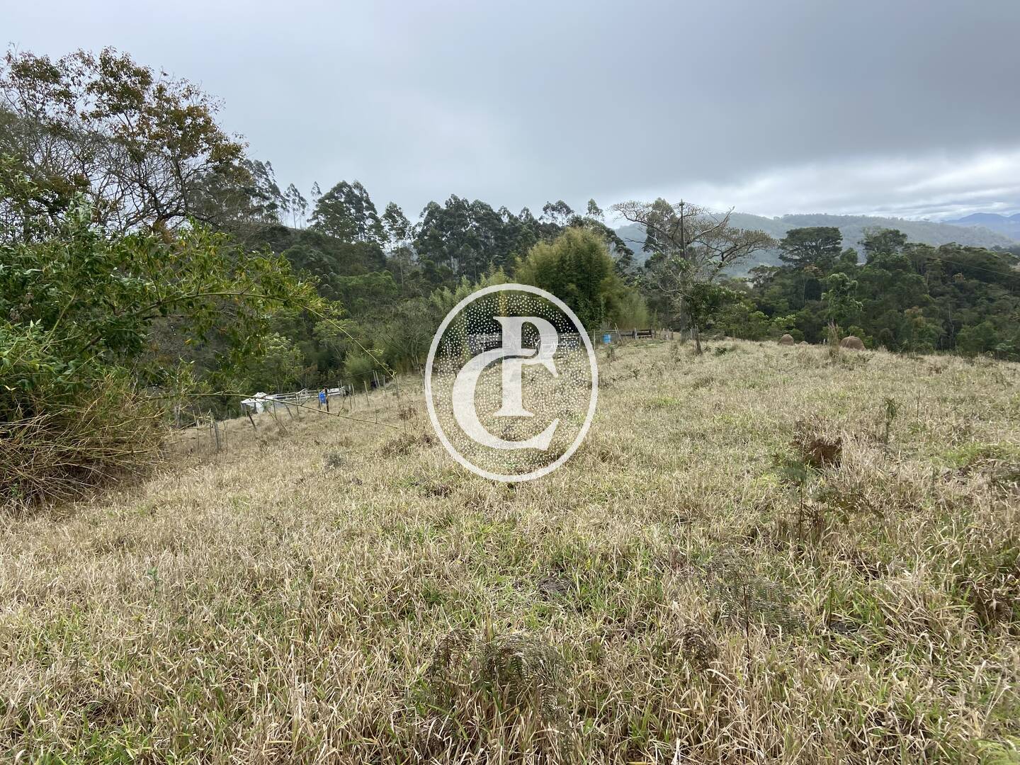 Sítio, 3 quartos, 36 hectares - Foto 42