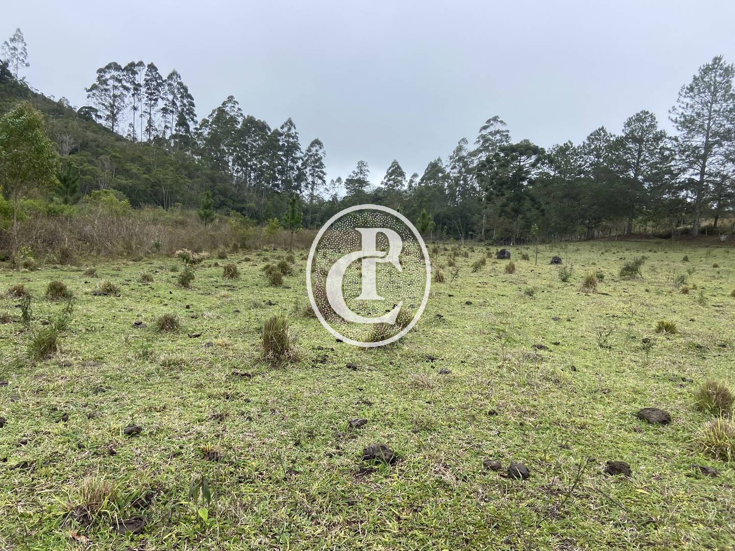 Sítio, 3 quartos, 36 hectares - Foto 43