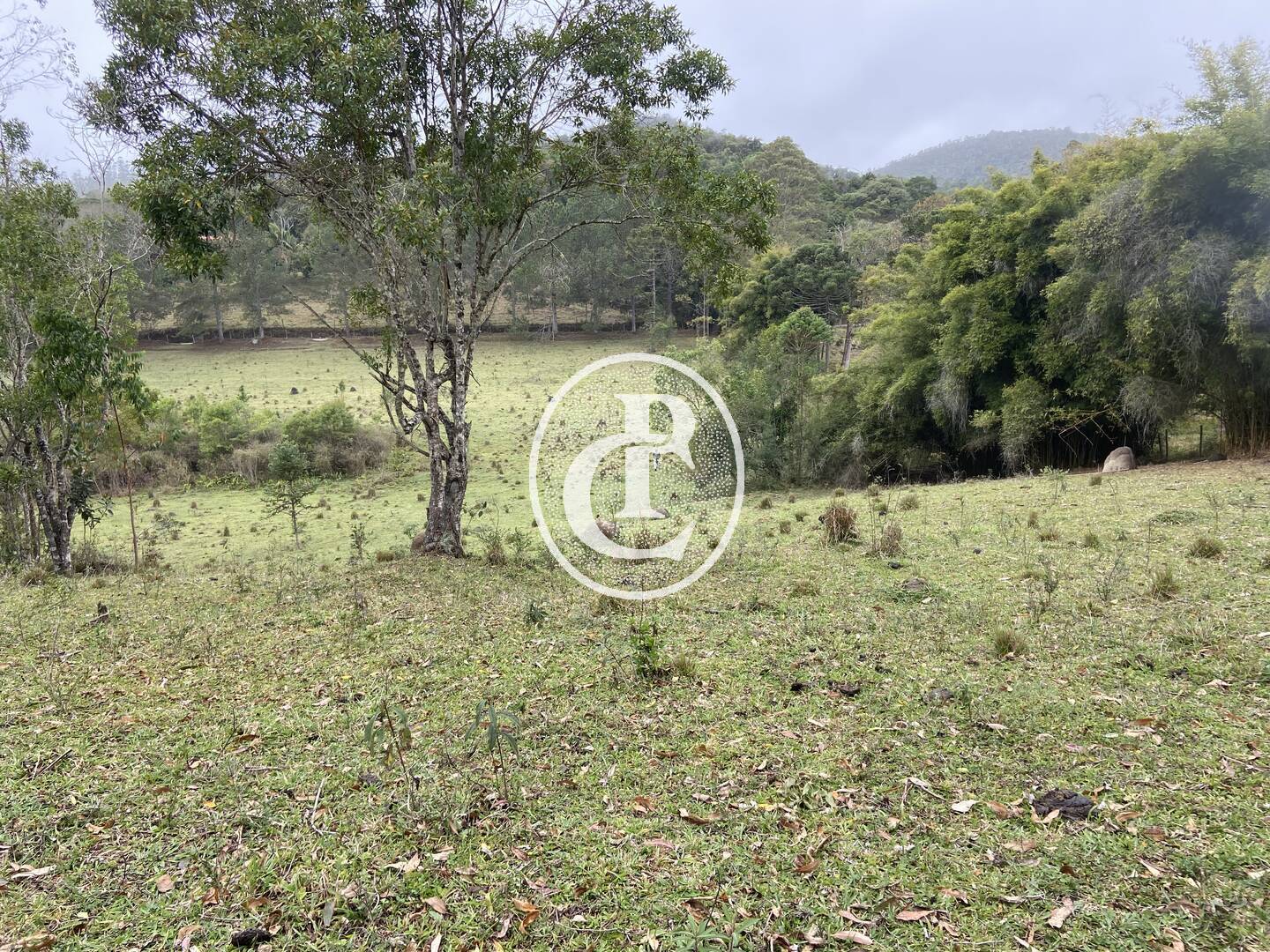Sítio, 3 quartos, 36 hectares - Foto 44