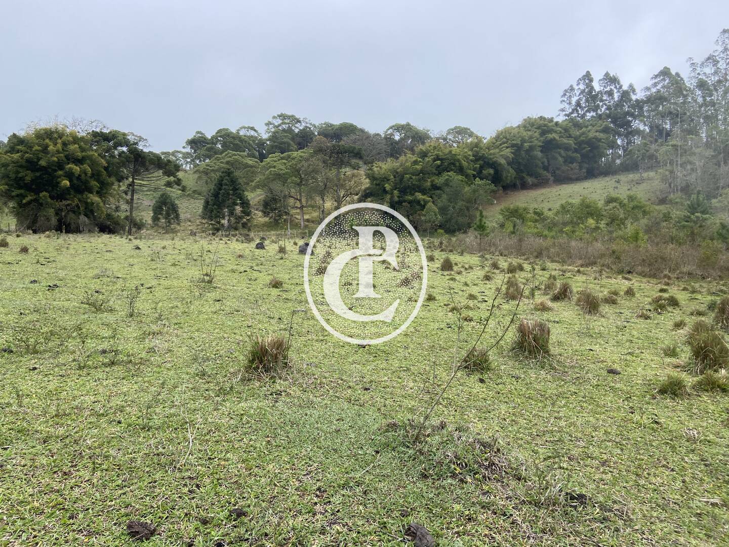 Sítio, 3 quartos, 36 hectares - Foto 46
