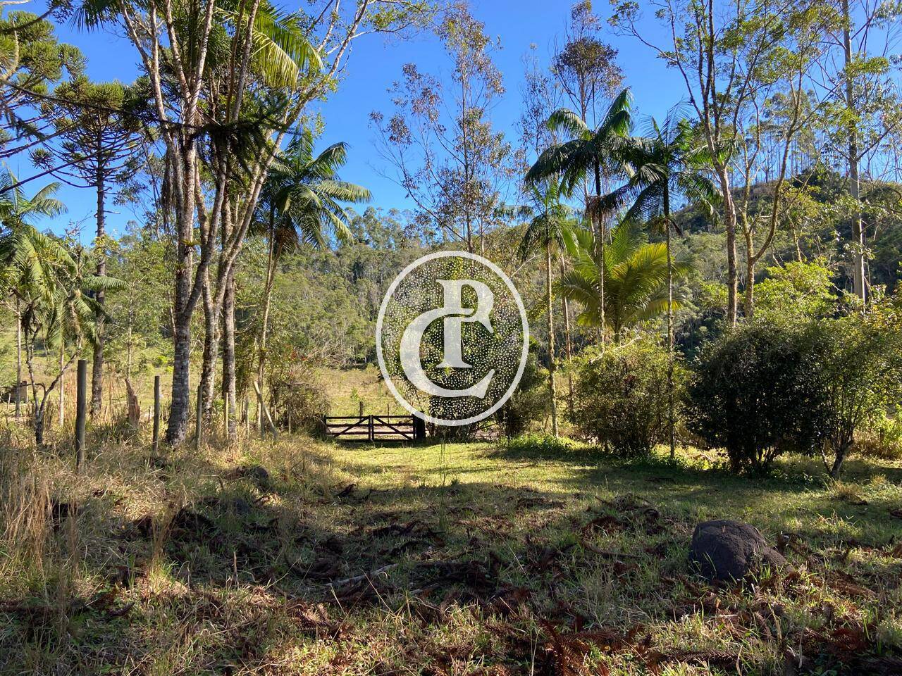 Sítio, 3 quartos, 36 hectares - Foto 48