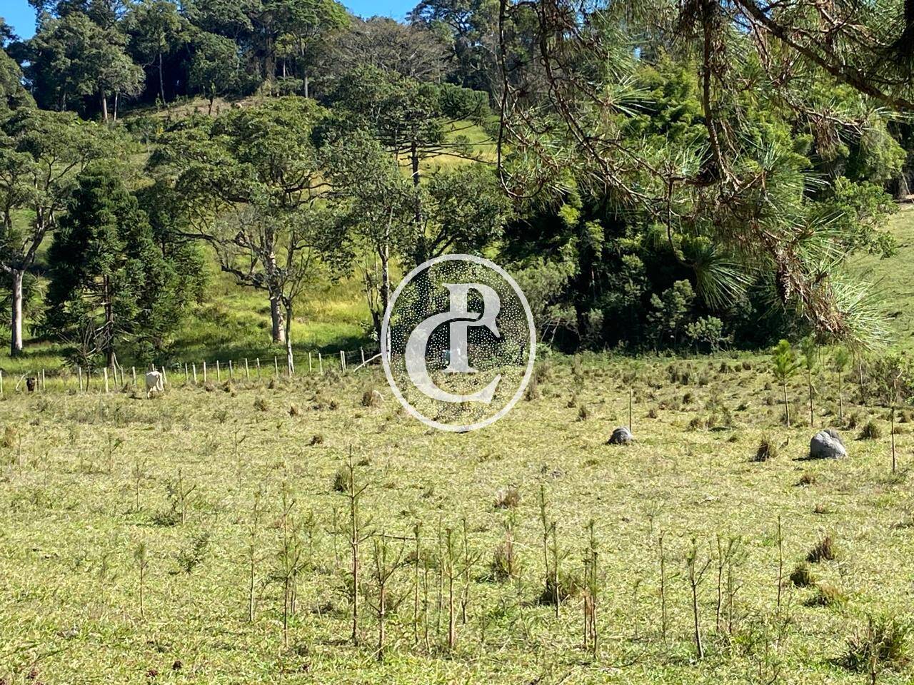 Sítio, 3 quartos, 36 hectares - Foto 49