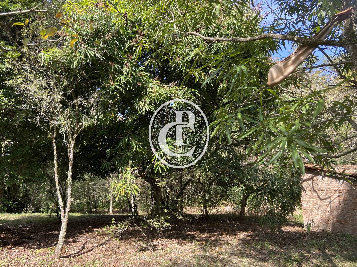 Sítio, 4 quartos, 4 hectares - Foto 5