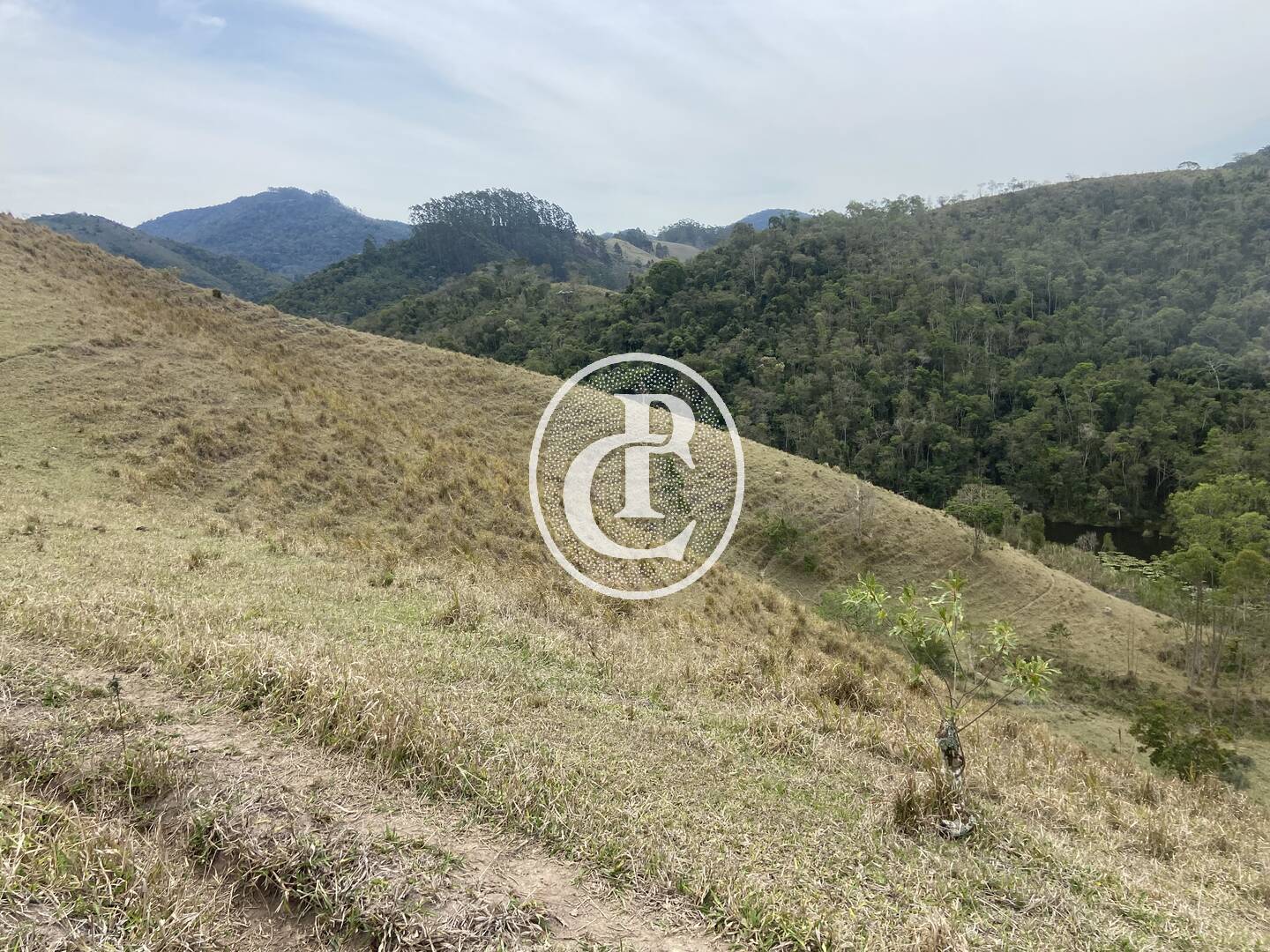 Sítio, 8 quartos, 46 hectares - Foto 2