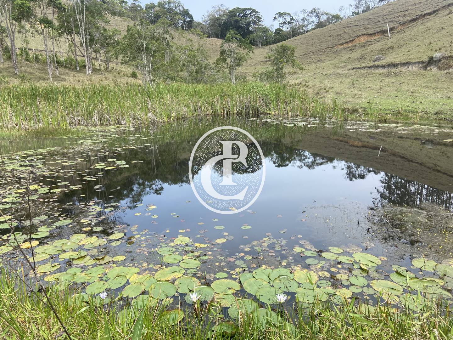 Sítio, 8 quartos, 46 hectares - Foto 3