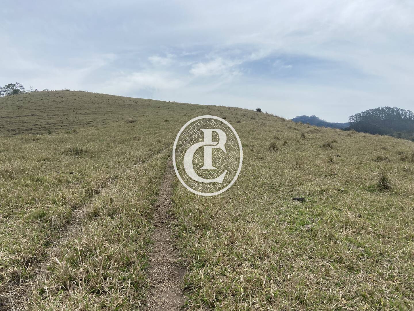 Sítio, 8 quartos, 46 hectares - Foto 4