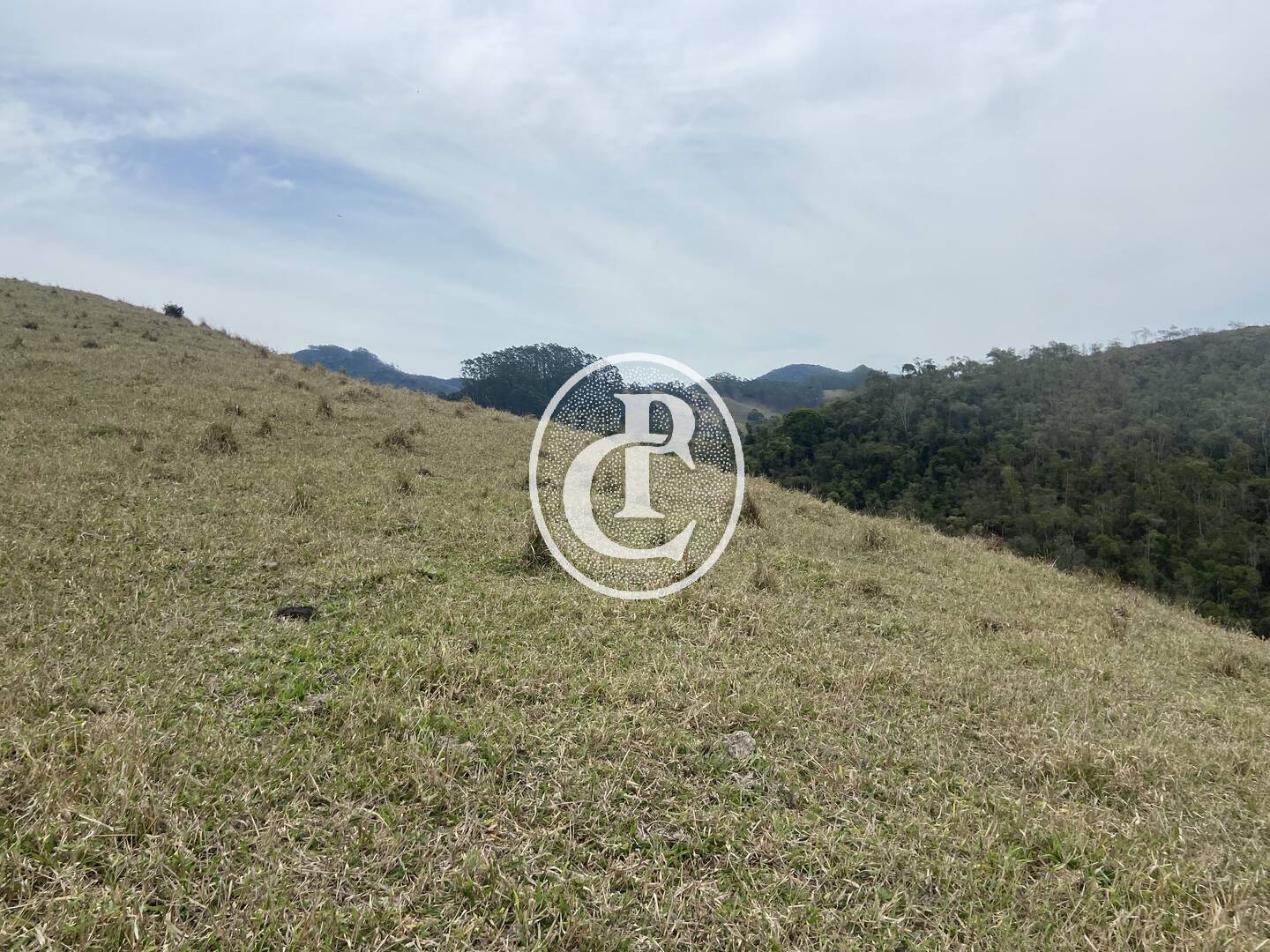 Sítio, 8 quartos, 46 hectares - Foto 6