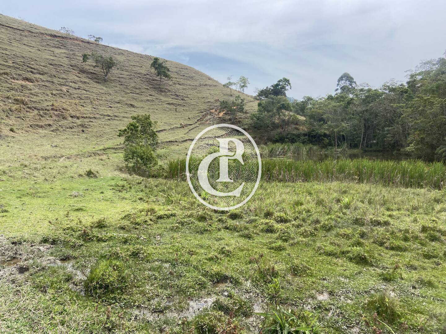 Sítio, 8 quartos, 46 hectares - Foto 7