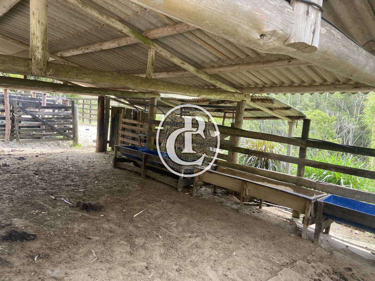 Sítio, 8 quartos, 46 hectares - Foto 10