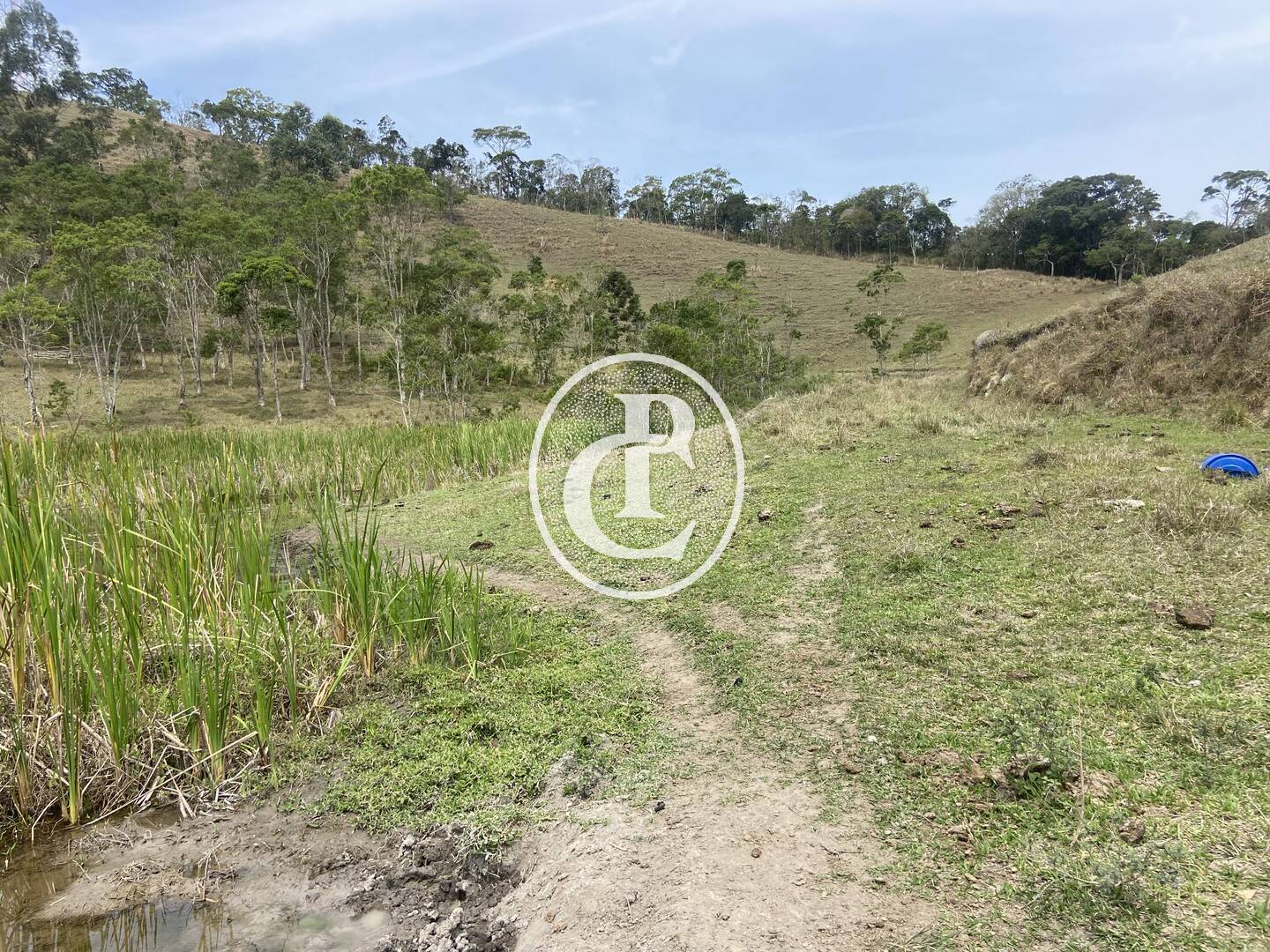 Sítio, 8 quartos, 46 hectares - Foto 11