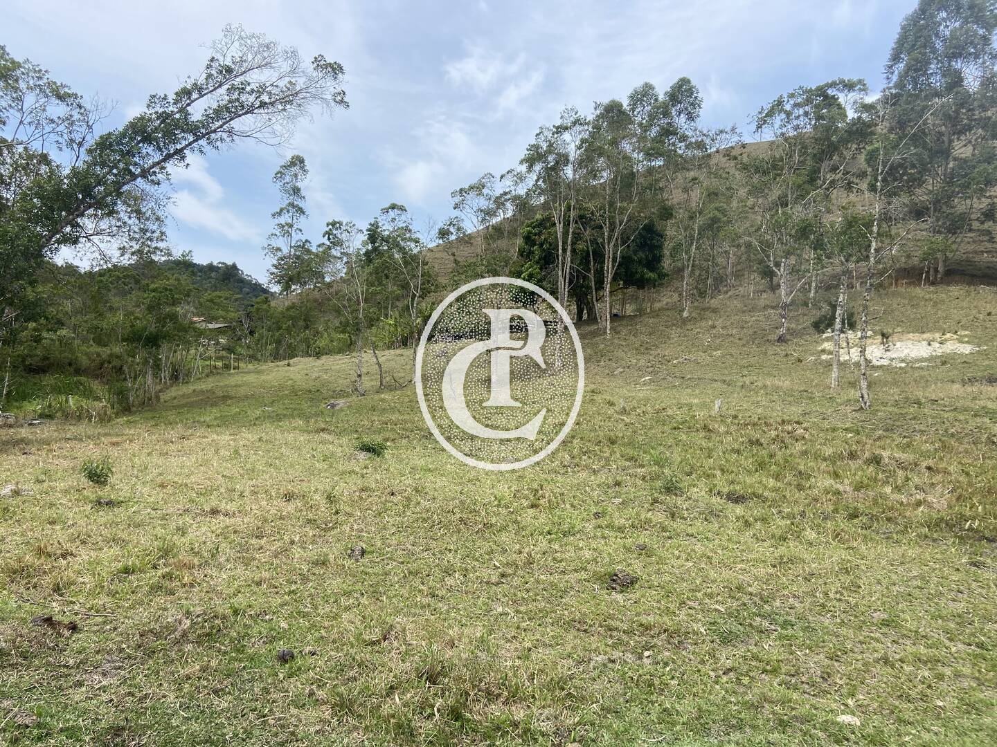 Sítio, 8 quartos, 46 hectares - Foto 12