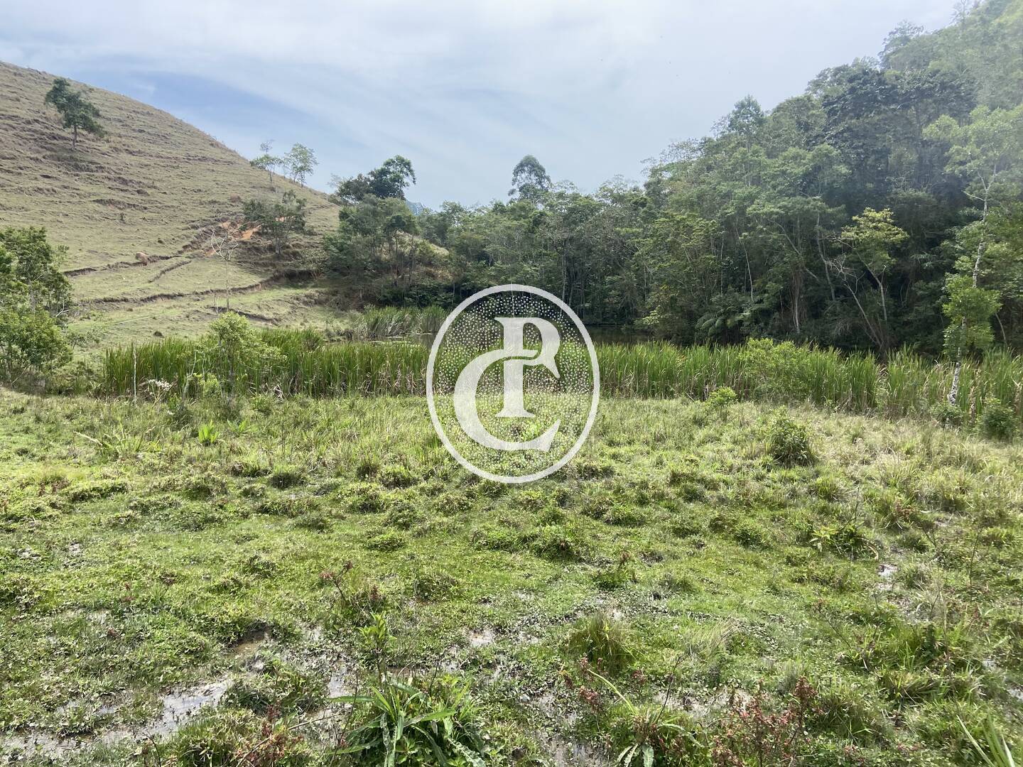 Sítio, 8 quartos, 46 hectares - Foto 13