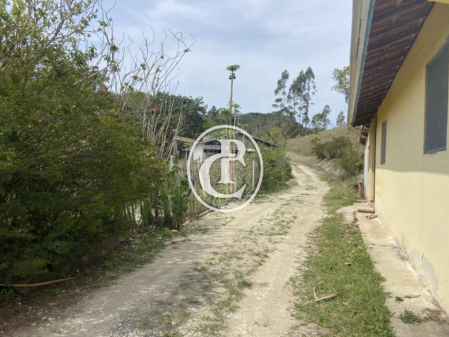 Sítio, 8 quartos, 46 hectares - Foto 14