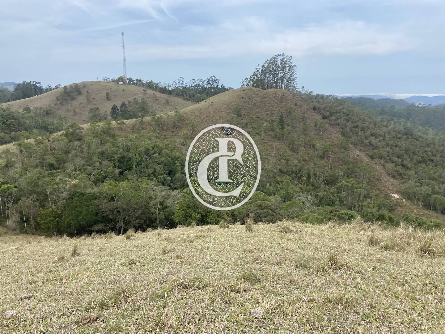 Sítio, 8 quartos, 46 hectares - Foto 15