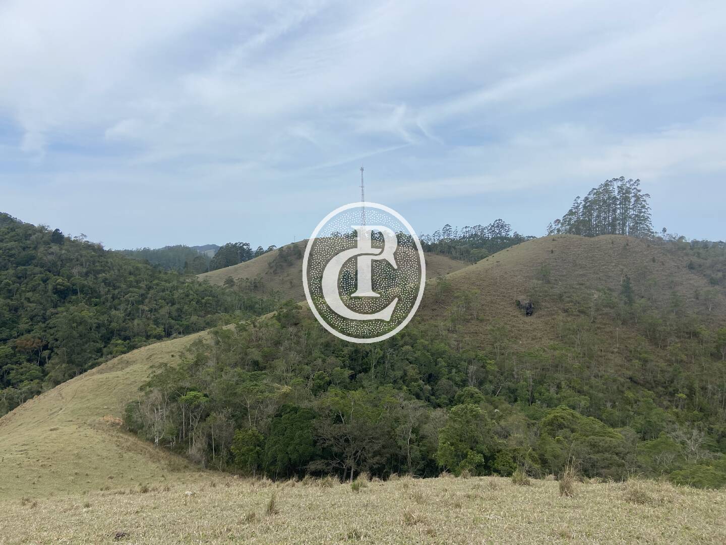 Sítio, 8 quartos, 46 hectares - Foto 16