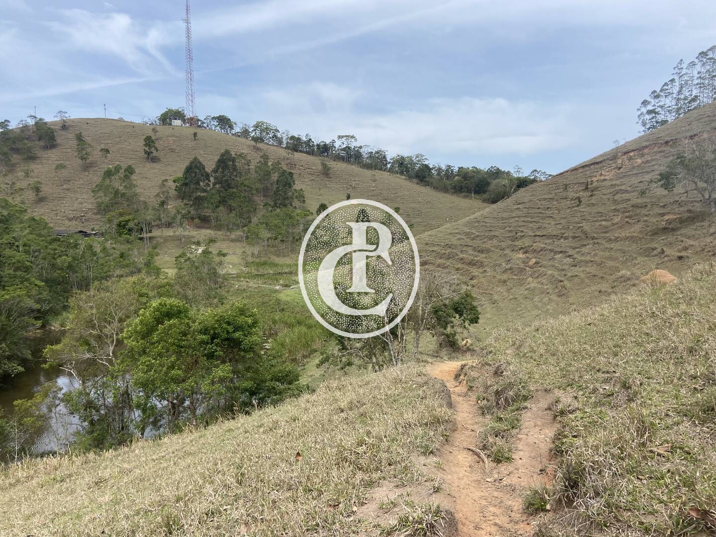 Sítio, 8 quartos, 46 hectares - Foto 17