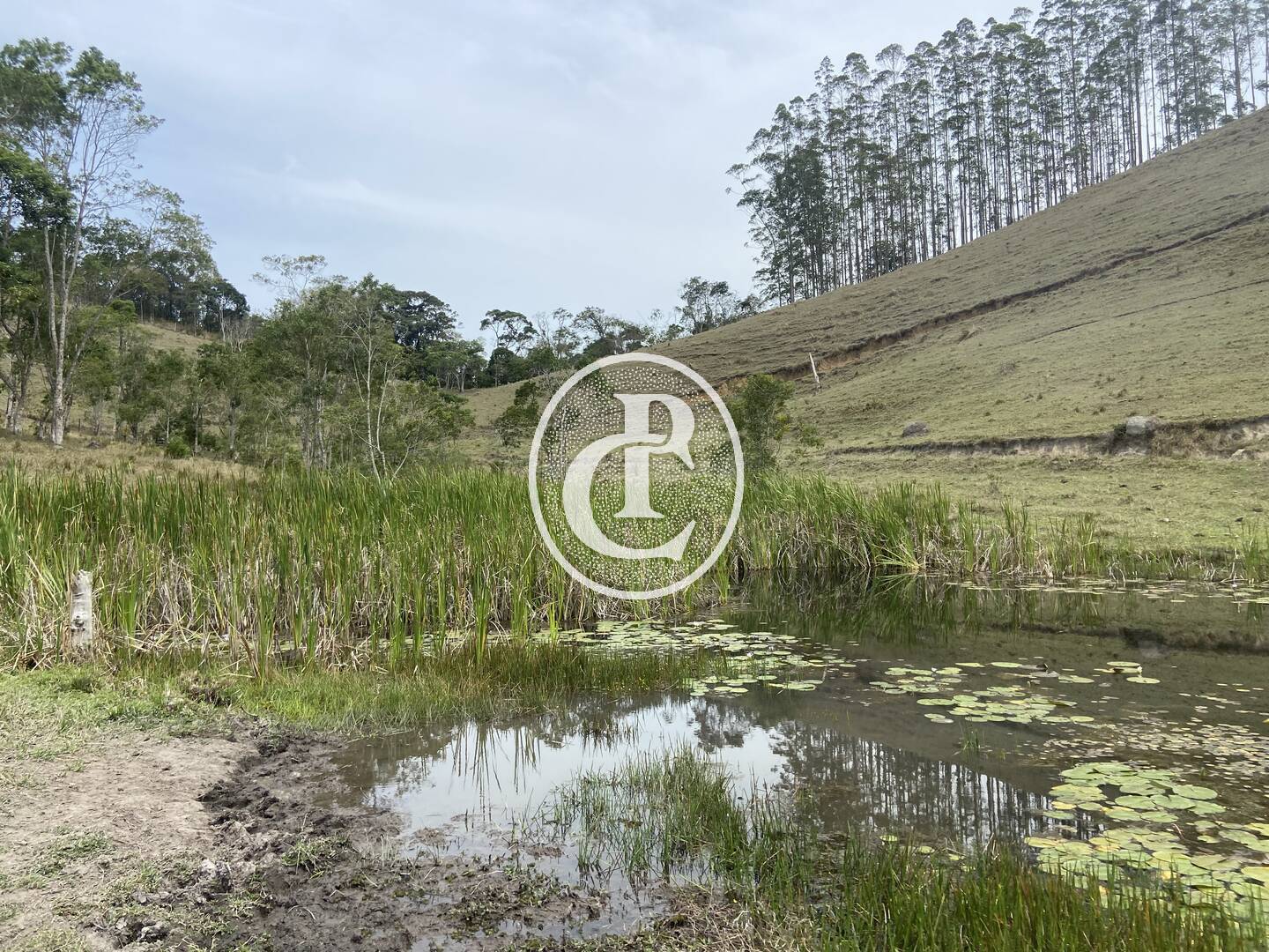 Sítio, 8 quartos, 46 hectares - Foto 18