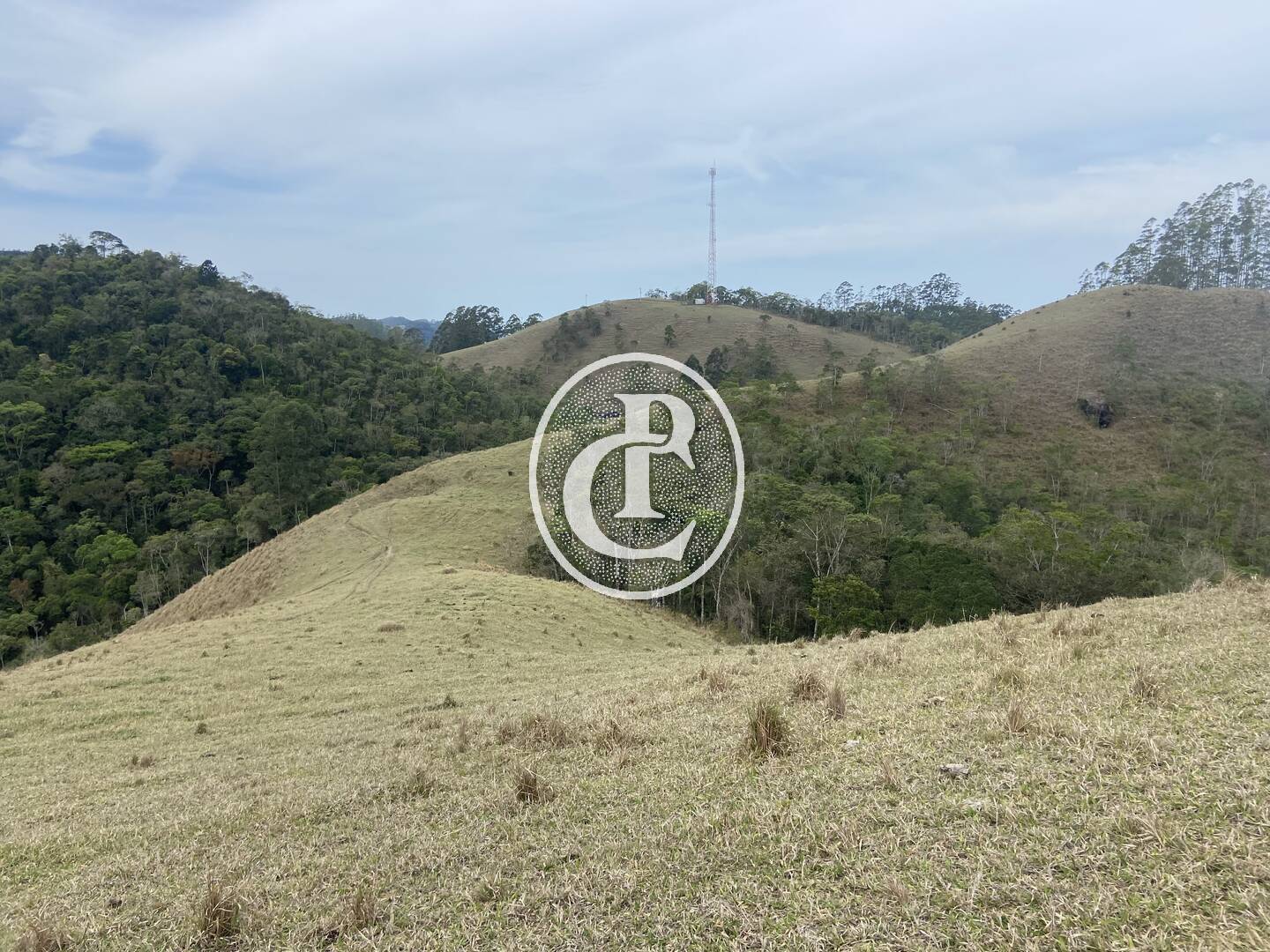 Sítio, 8 quartos, 46 hectares - Foto 19