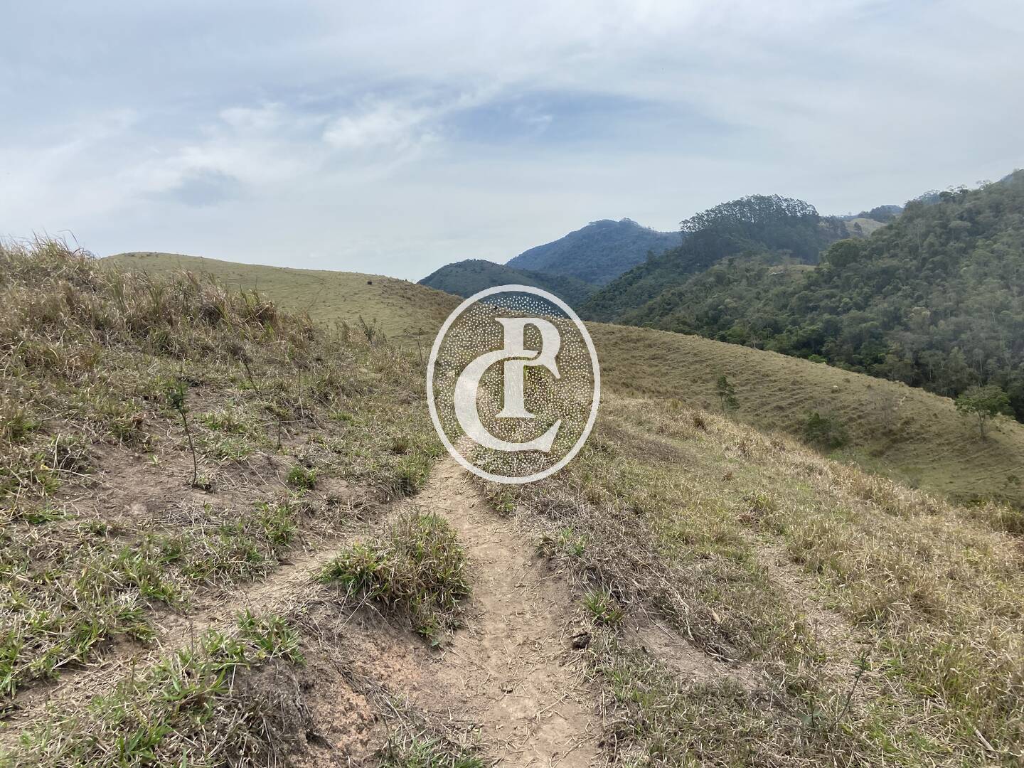 Sítio, 8 quartos, 46 hectares - Foto 21