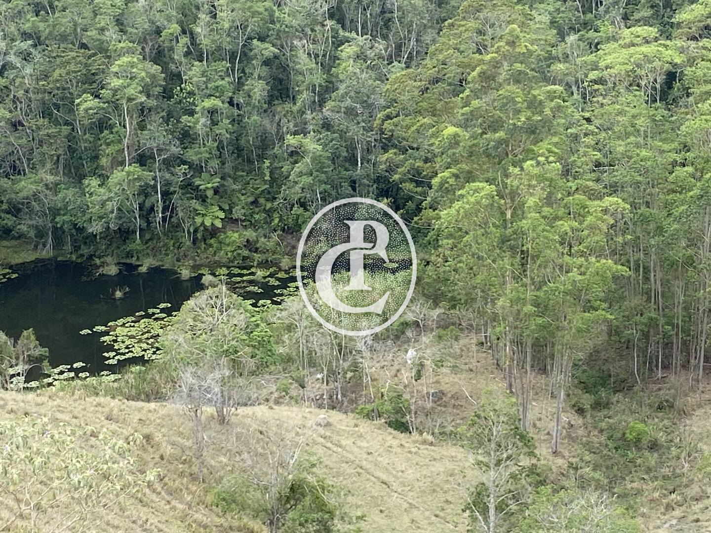 Sítio, 8 quartos, 46 hectares - Foto 22