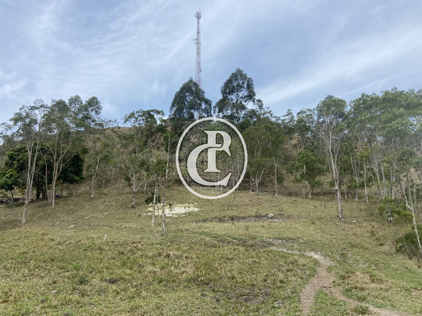 Sítio, 8 quartos, 46 hectares - Foto 23