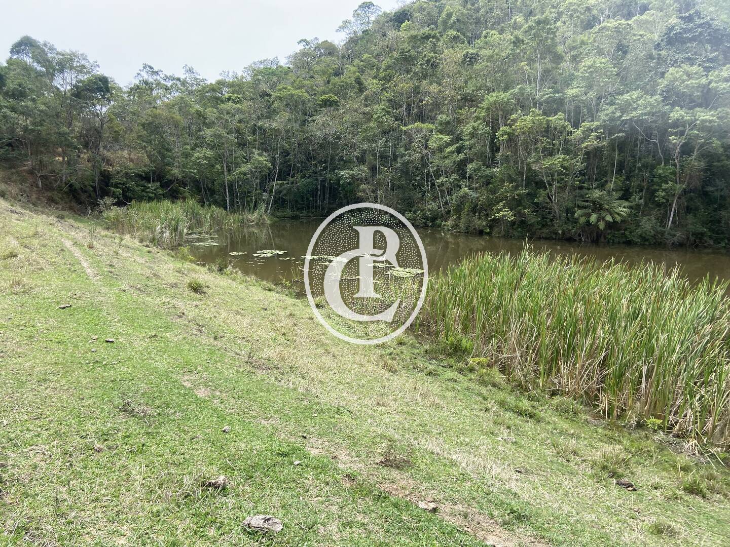 Sítio, 8 quartos, 46 hectares - Foto 27