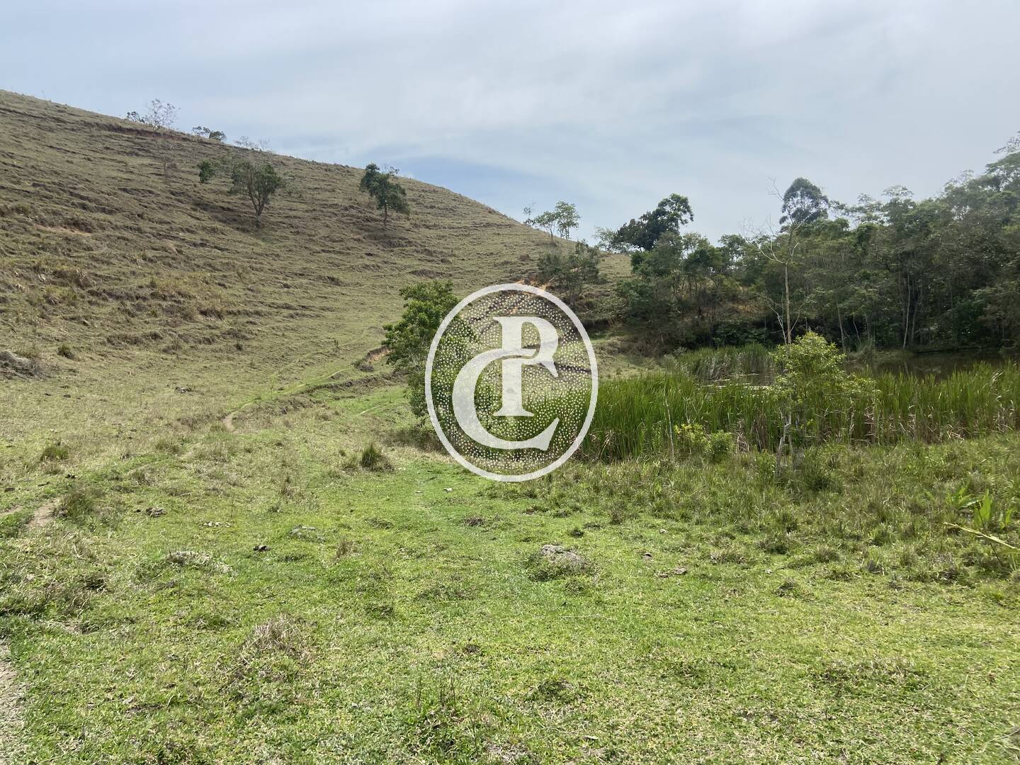 Sítio, 8 quartos, 46 hectares - Foto 28