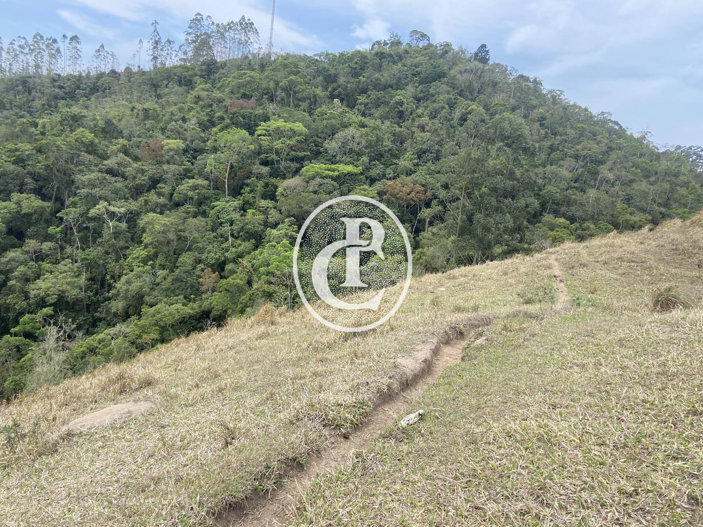 Sítio, 8 quartos, 46 hectares - Foto 29