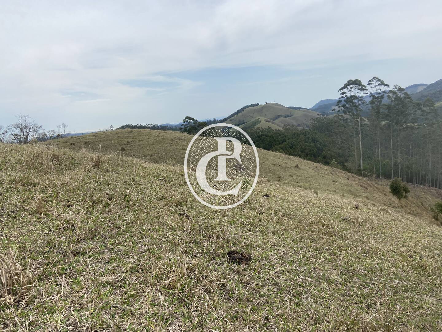 Sítio, 8 quartos, 46 hectares - Foto 30