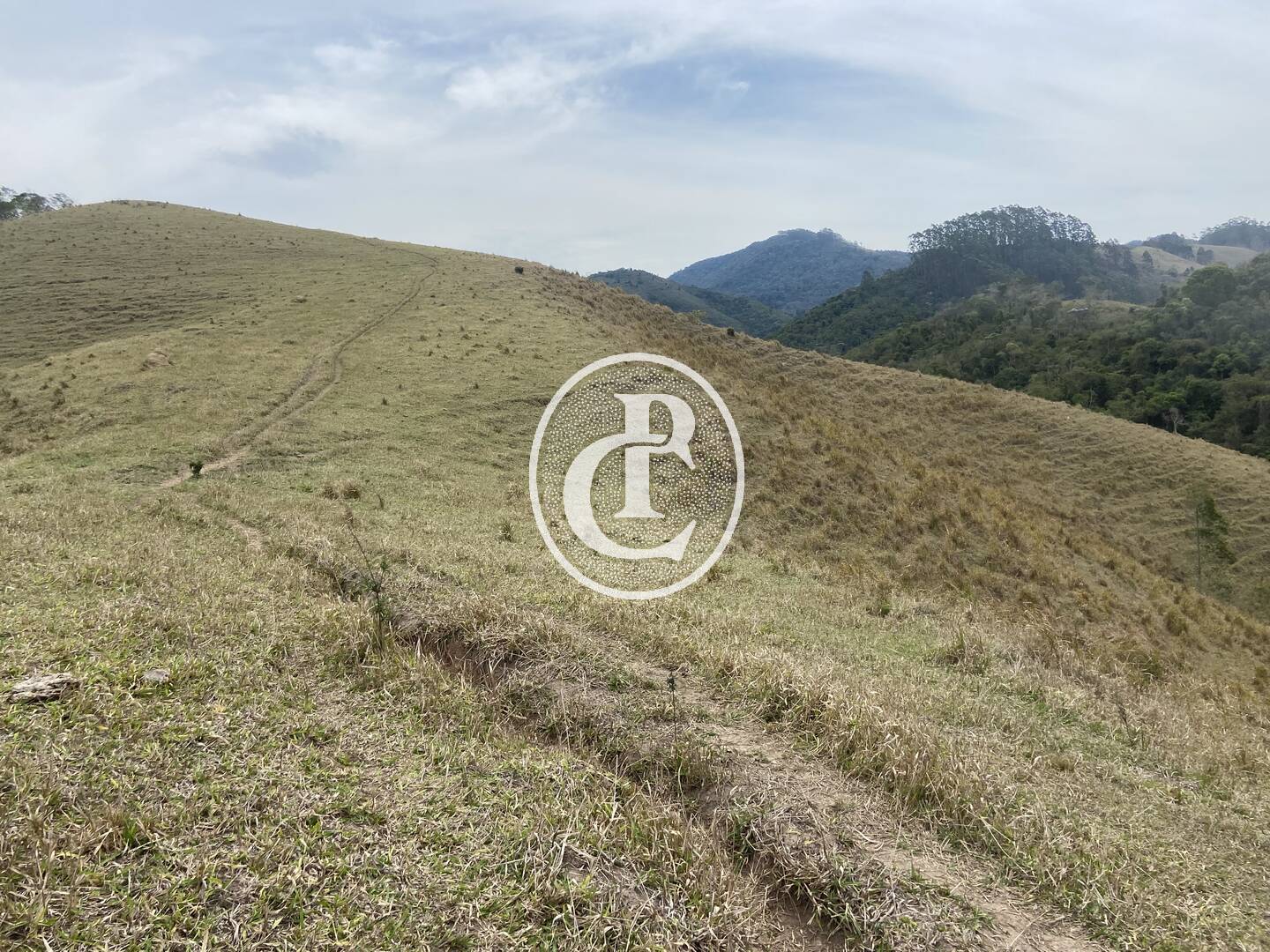 Sítio, 8 quartos, 46 hectares - Foto 31