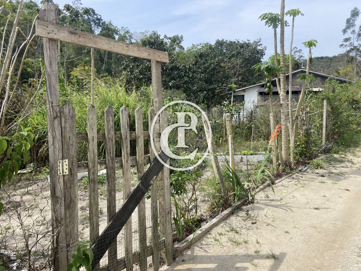 Sítio, 8 quartos, 46 hectares - Foto 33