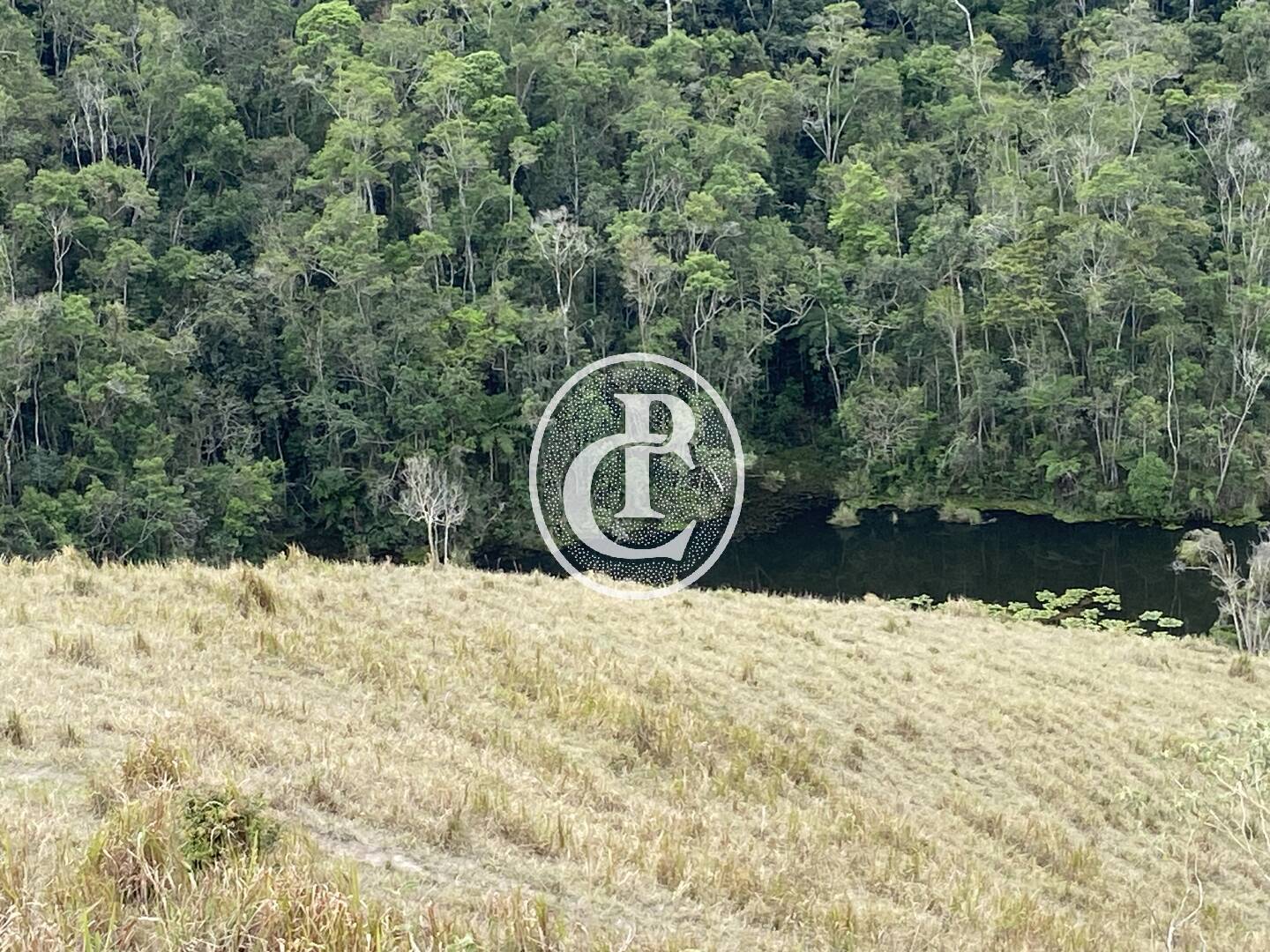 Sítio, 8 quartos, 46 hectares - Foto 34