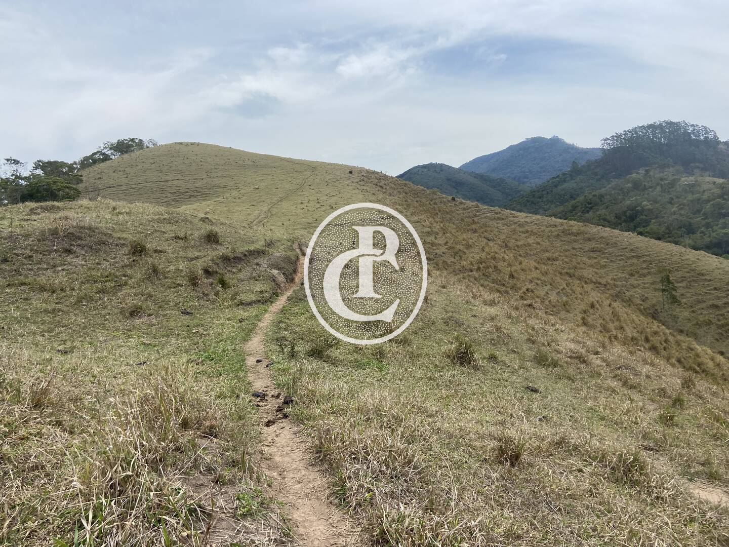 Sítio, 8 quartos, 46 hectares - Foto 35