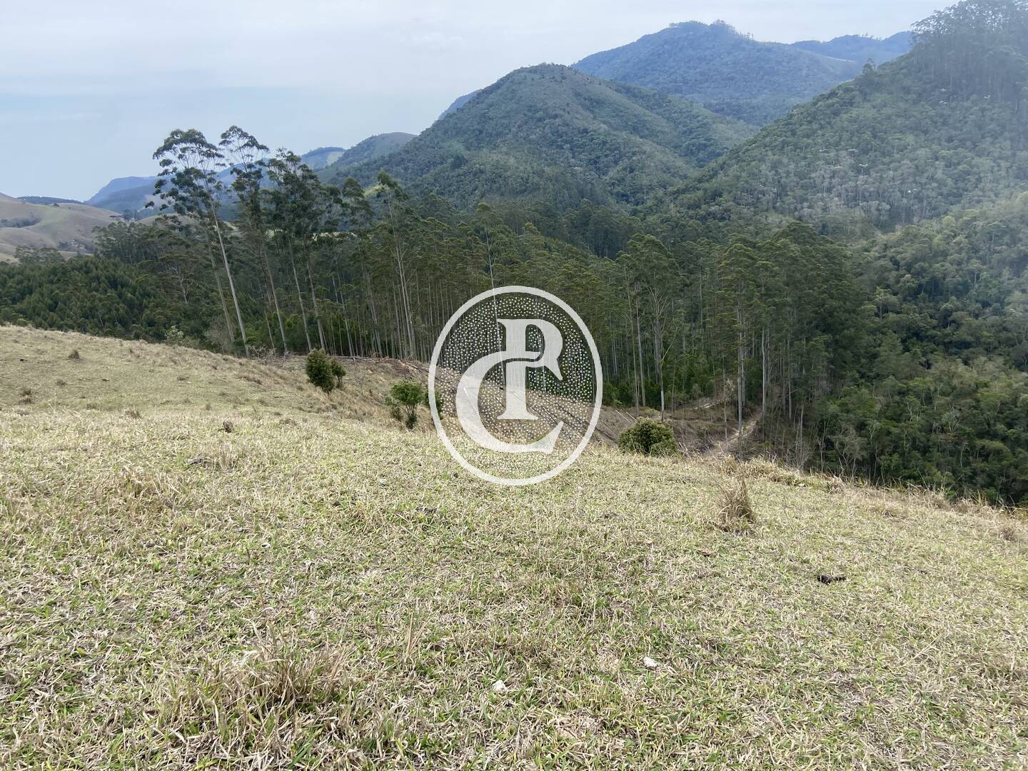 Sítio, 8 quartos, 46 hectares - Foto 36