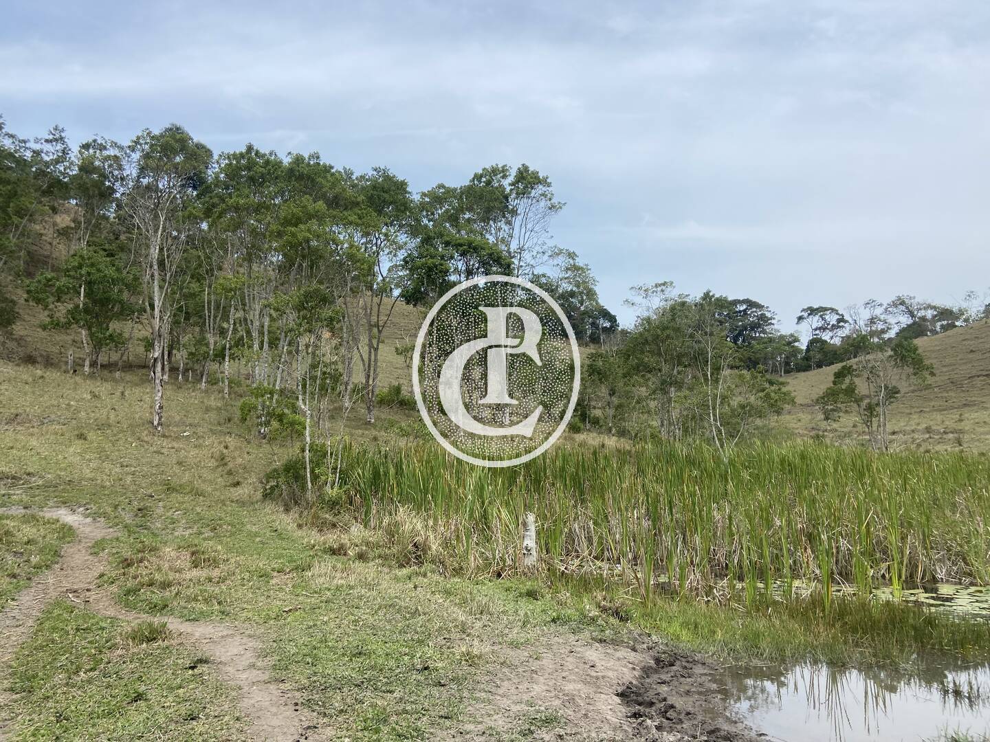 Sítio, 8 quartos, 46 hectares - Foto 37