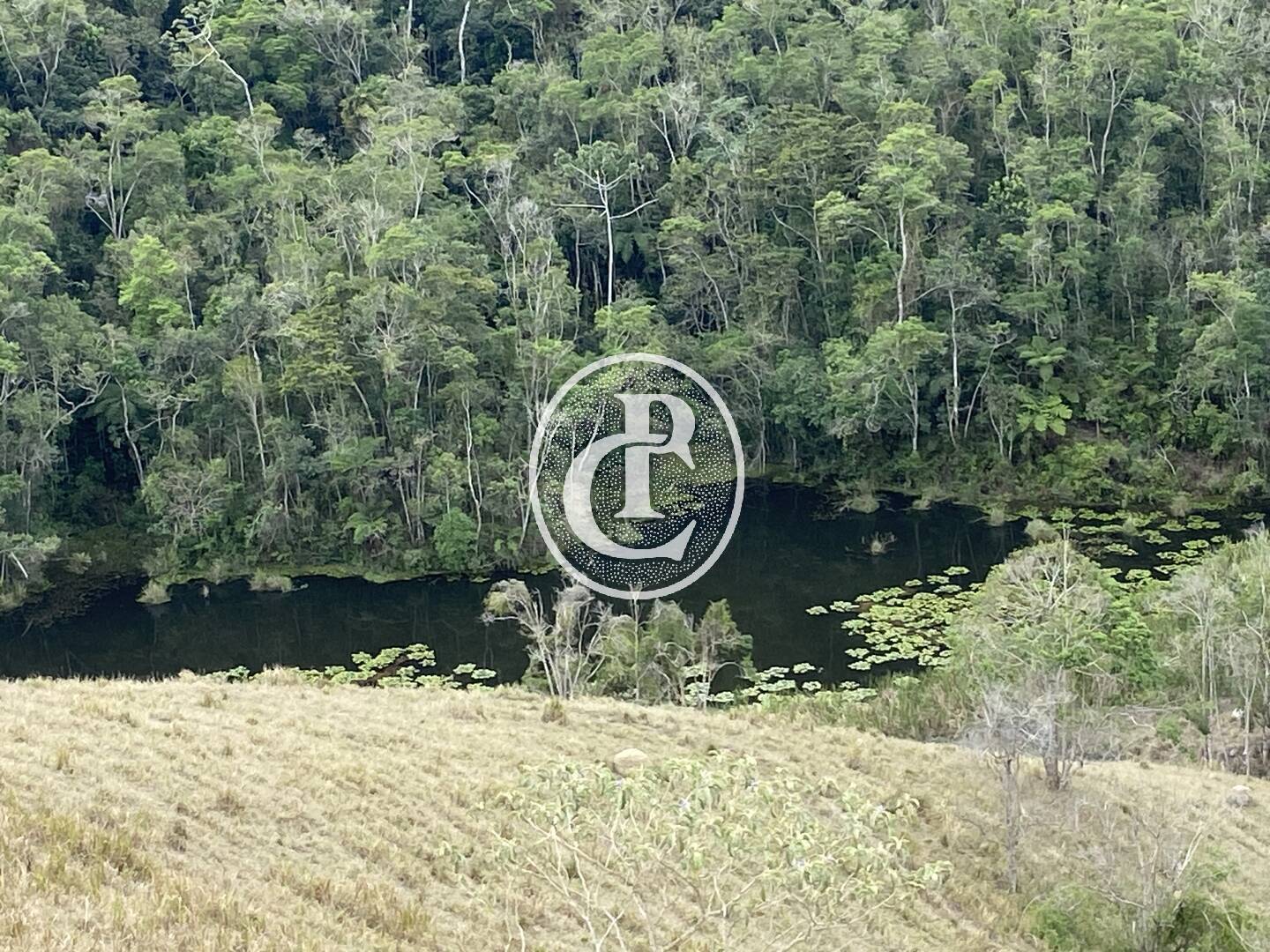 Sítio, 8 quartos, 46 hectares - Foto 38