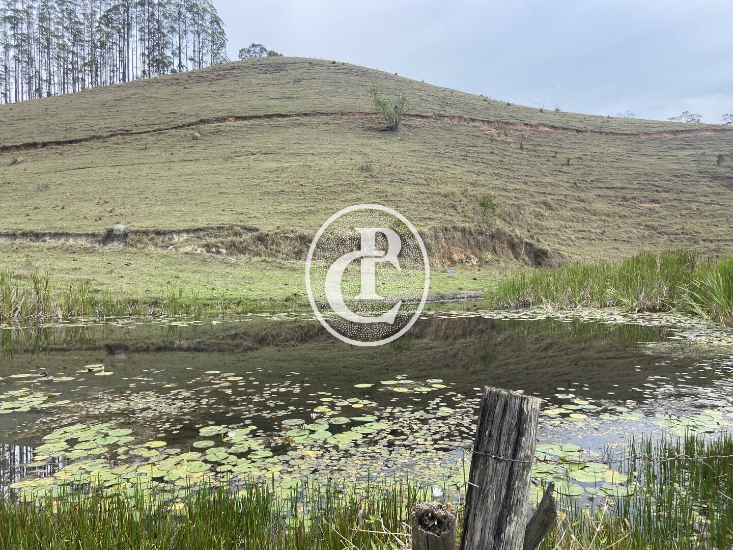 Sítio, 8 quartos, 46 hectares - Foto 39