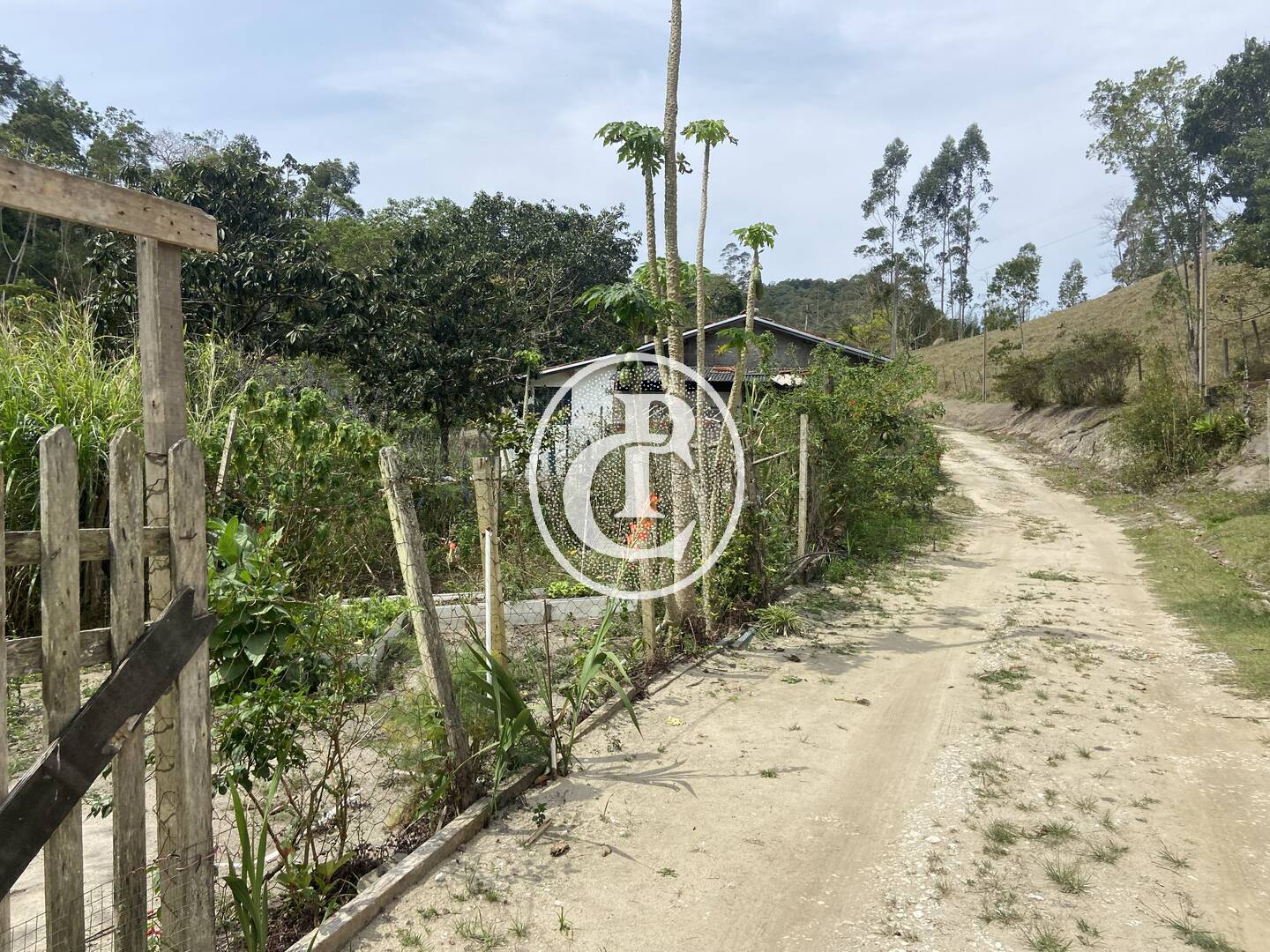 Sítio, 8 quartos, 46 hectares - Foto 41