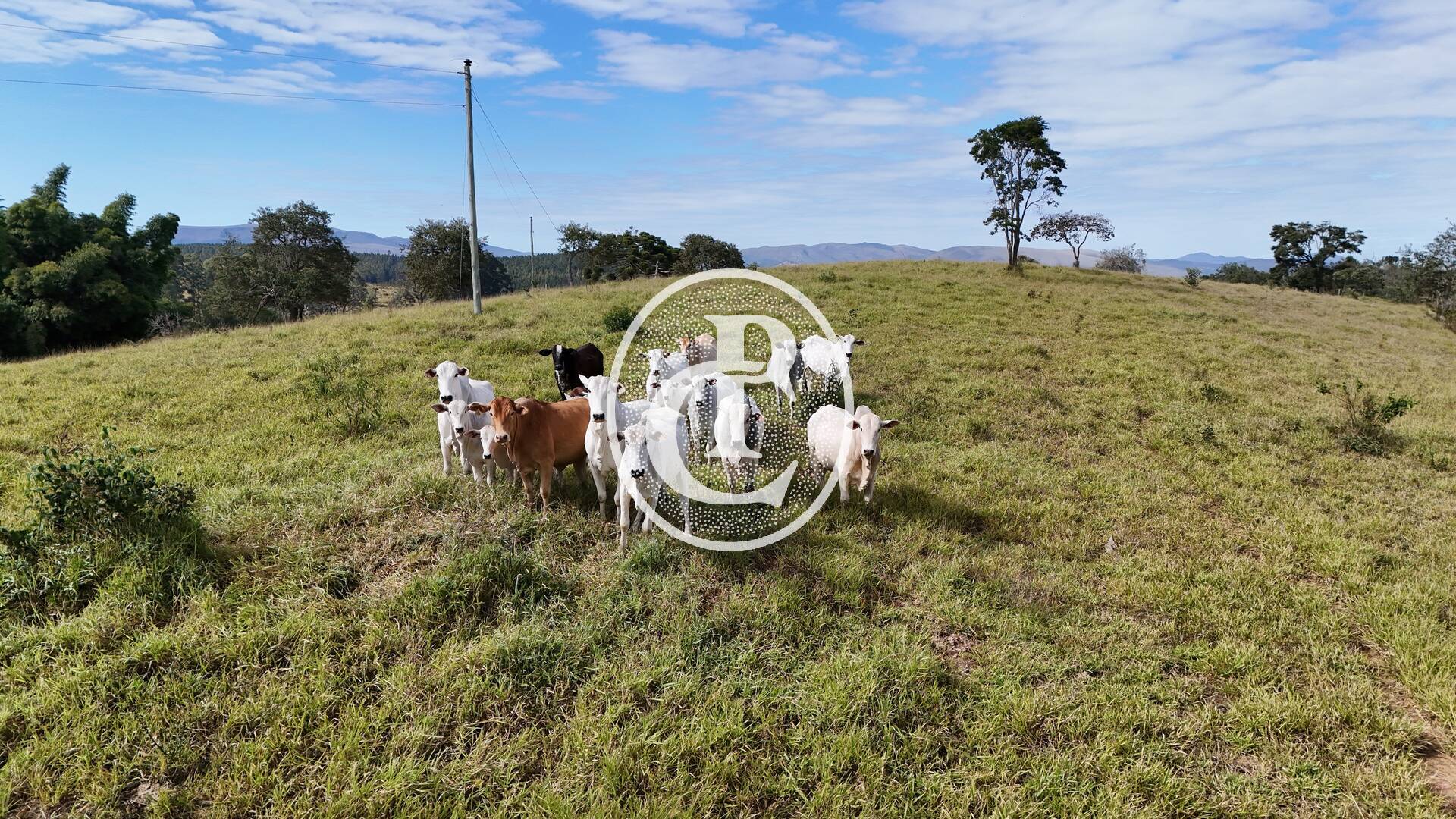 Terreno, 30 m² - Foto 4