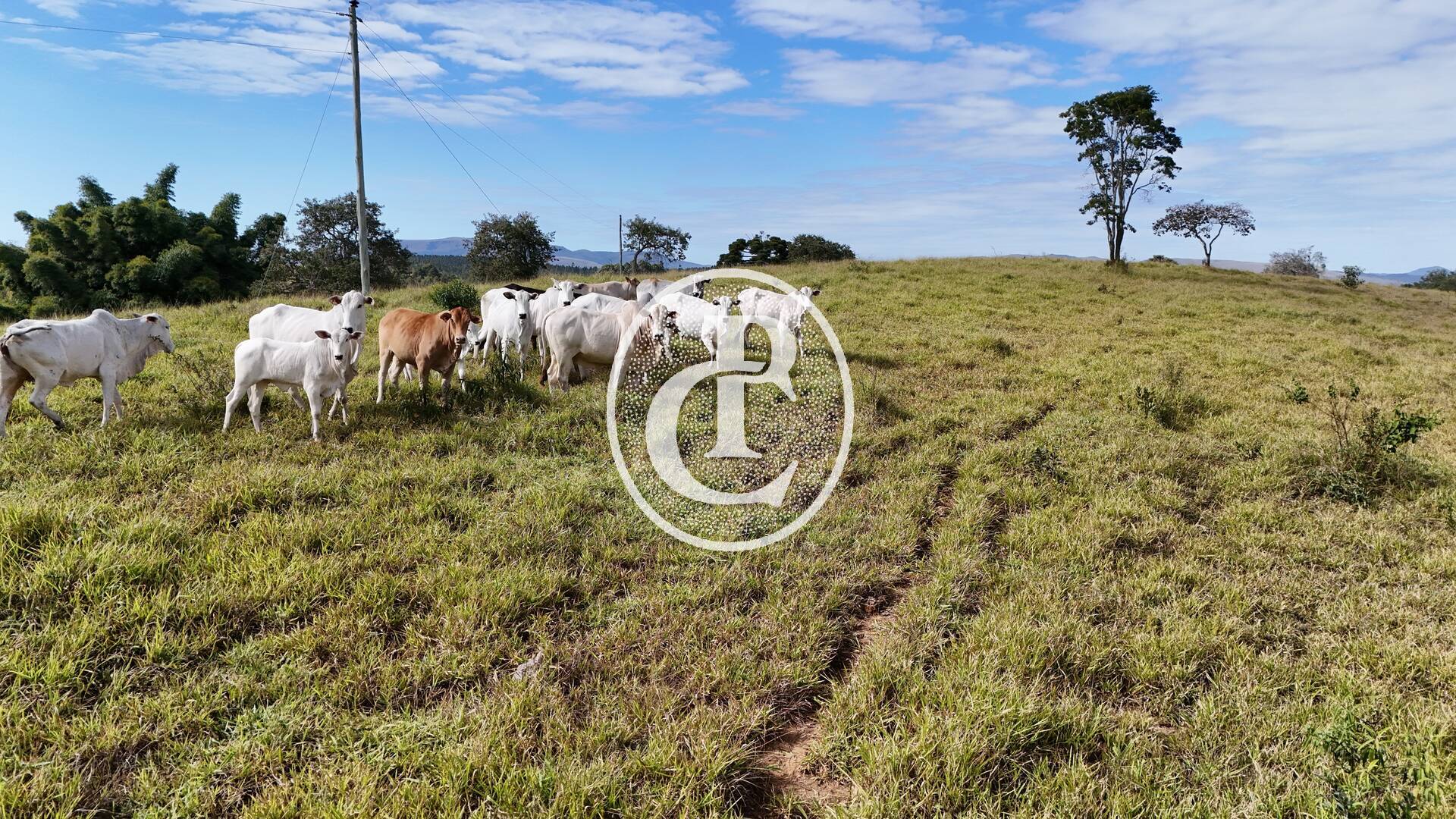 Terreno, 30 m² - Foto 6