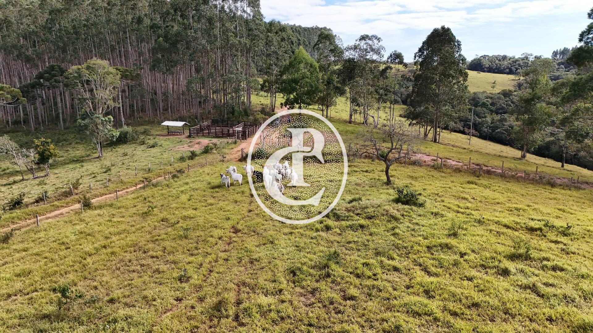 Terreno, 30 m² - Foto 7