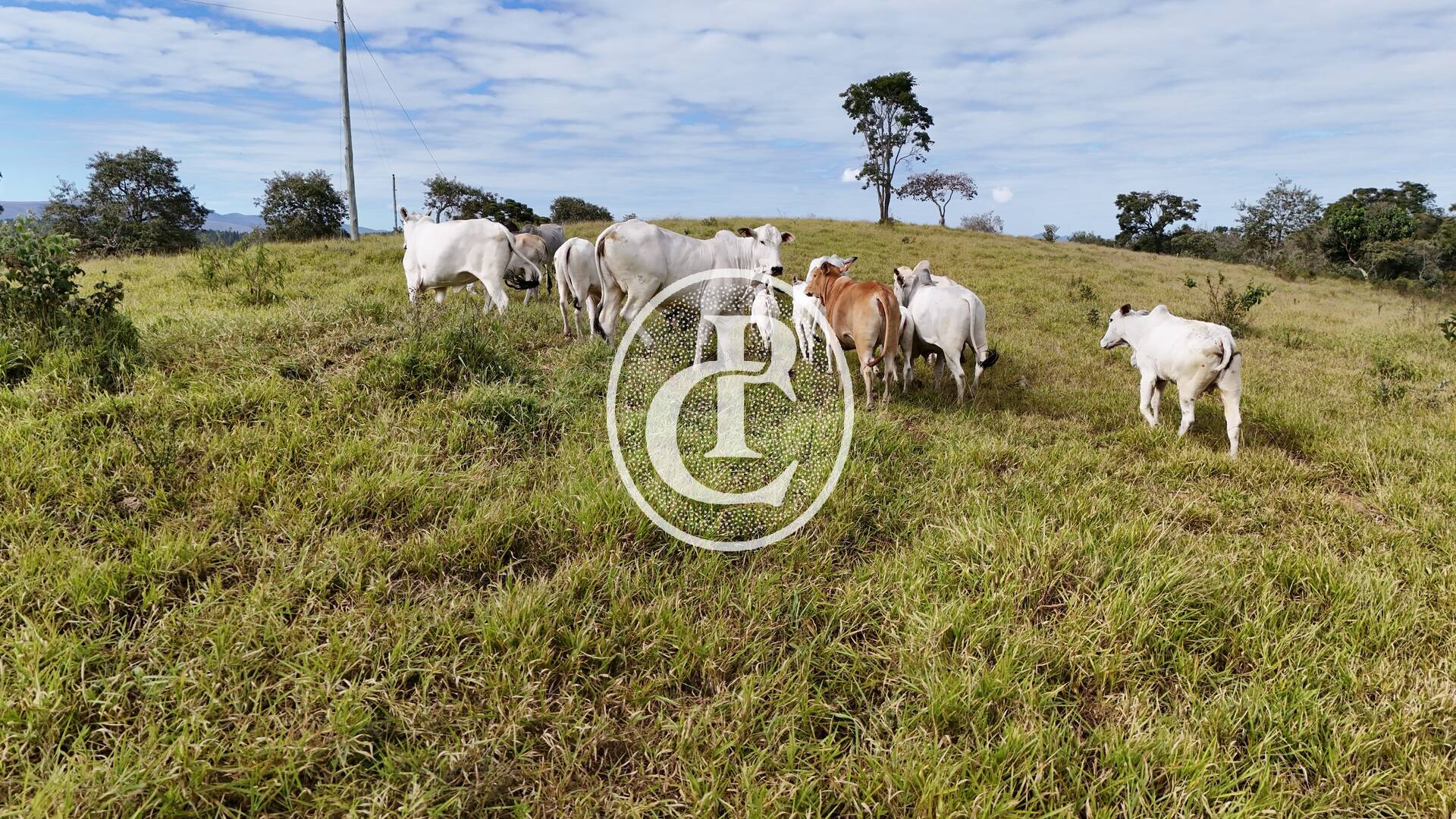 Terreno, 30 m² - Foto 16