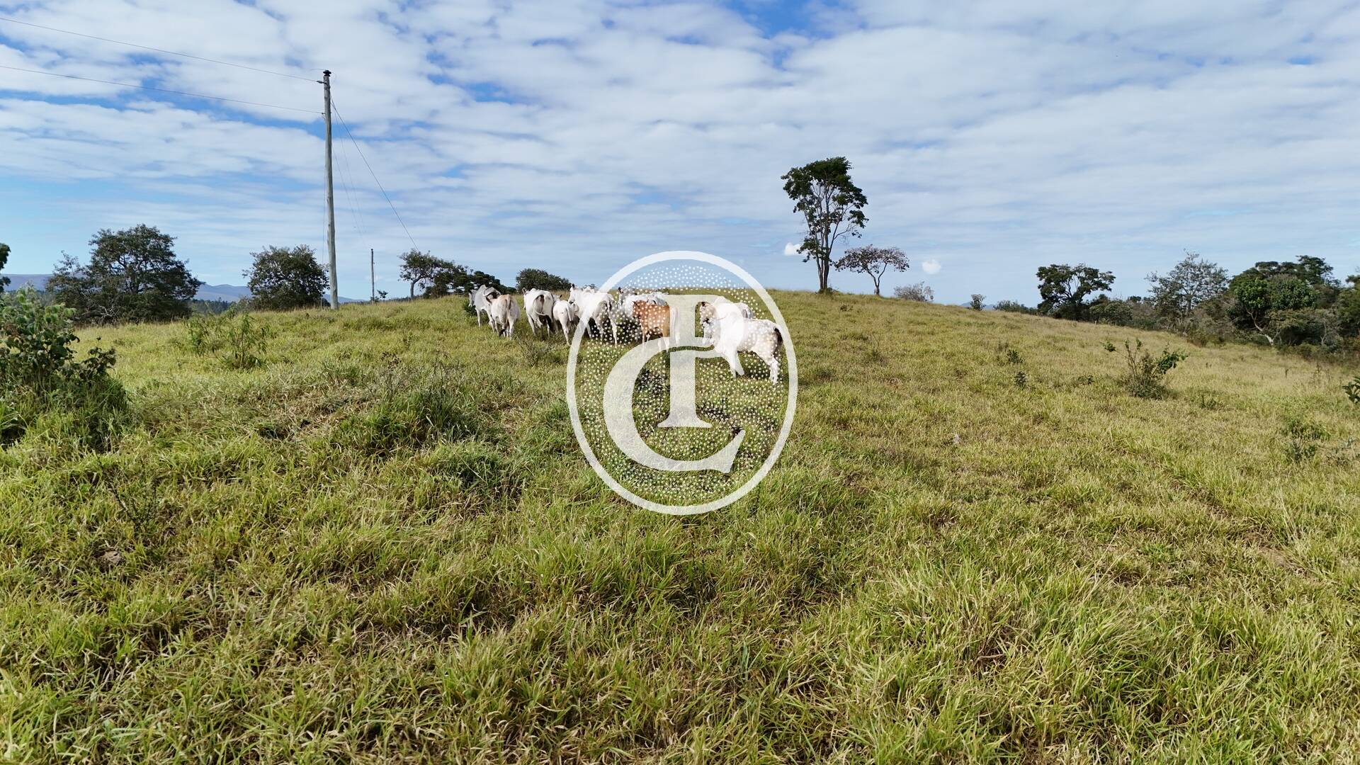 Terreno, 30 m² - Foto 17