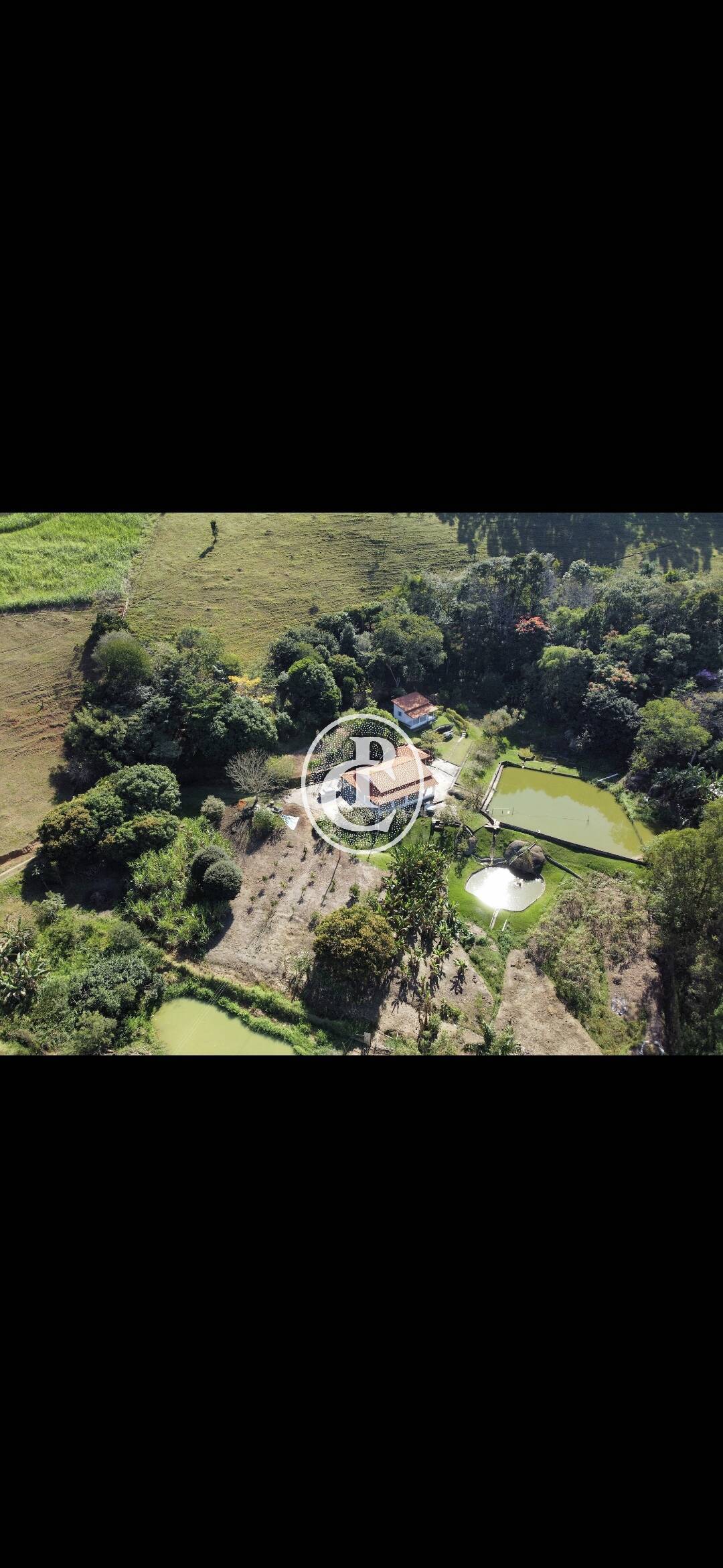 Chácara, 4 quartos, 3 hectares - Foto 1