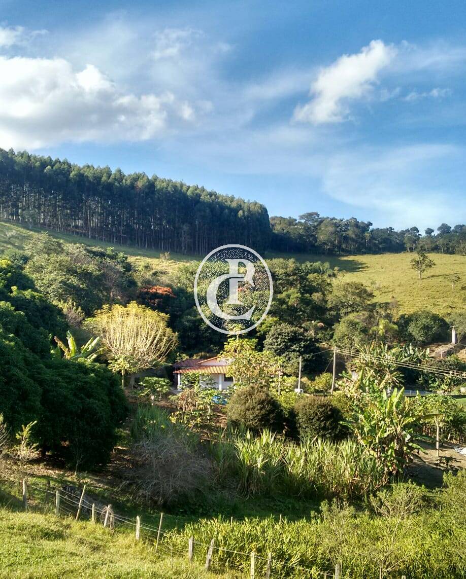 Chácara, 4 quartos, 3 hectares - Foto 2